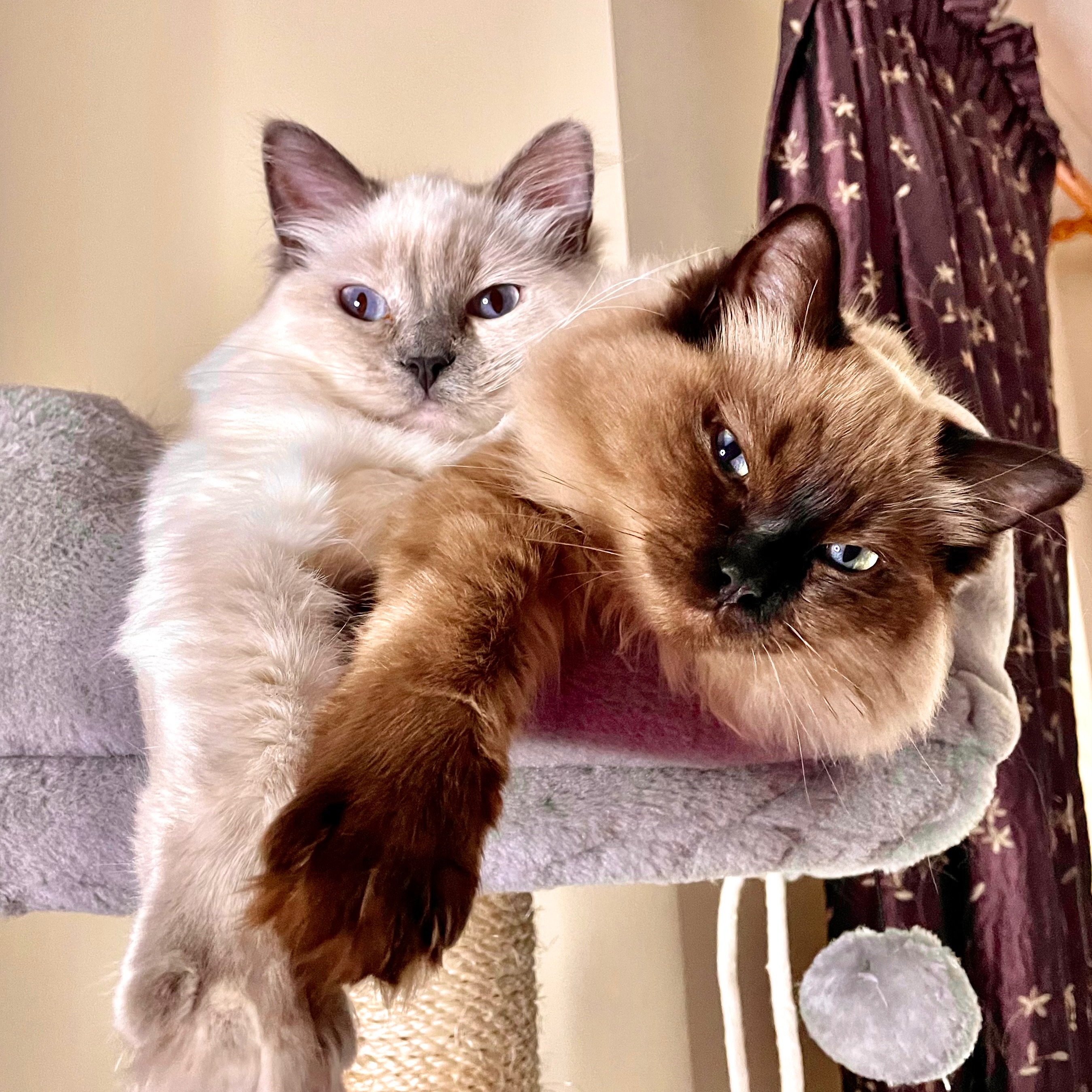 Raya and Lily