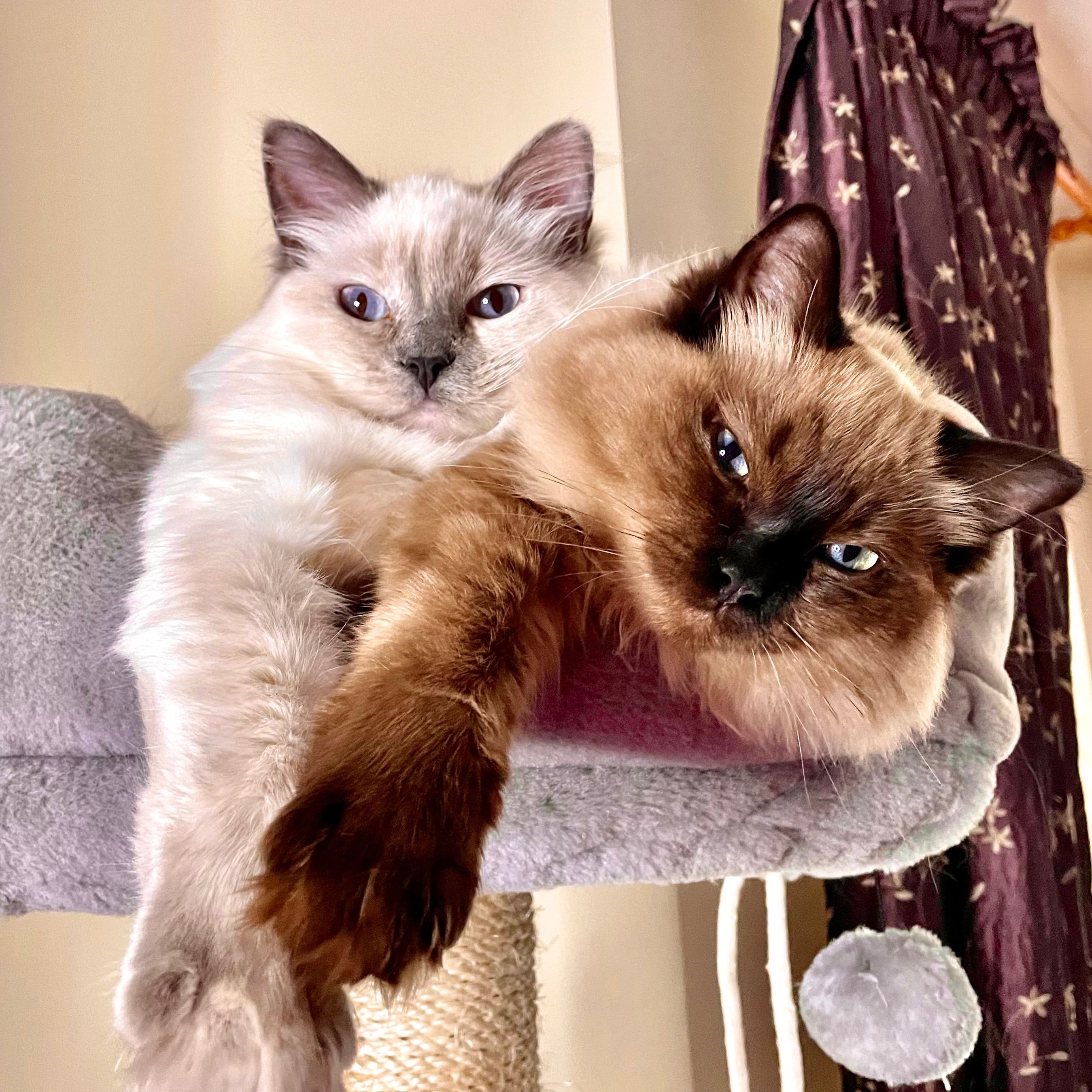 Raya and Lily