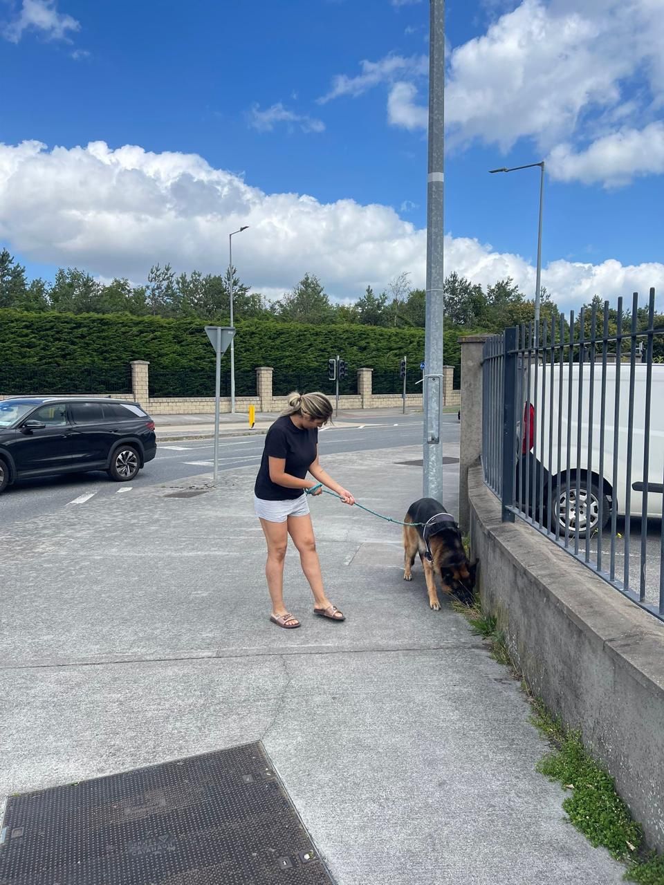 image-7