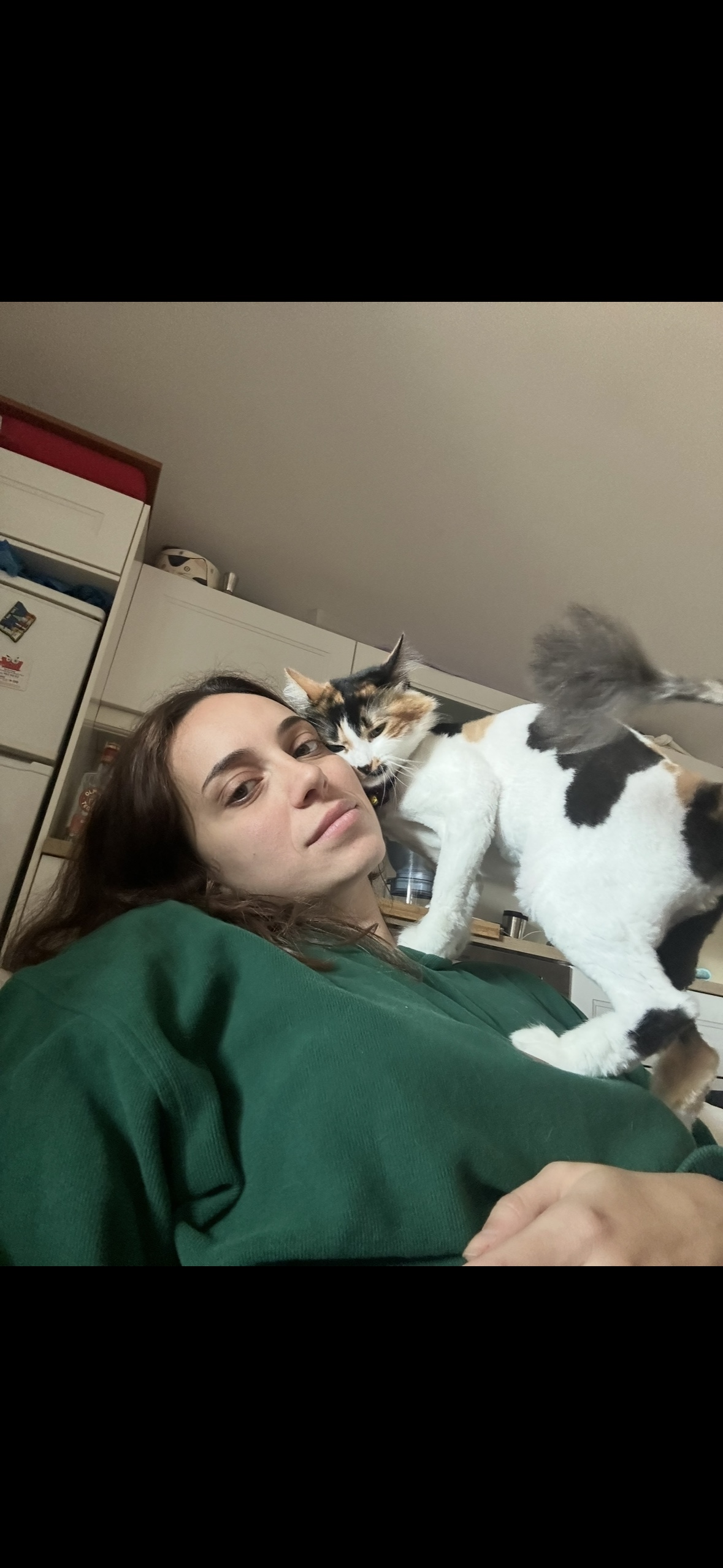 image-8