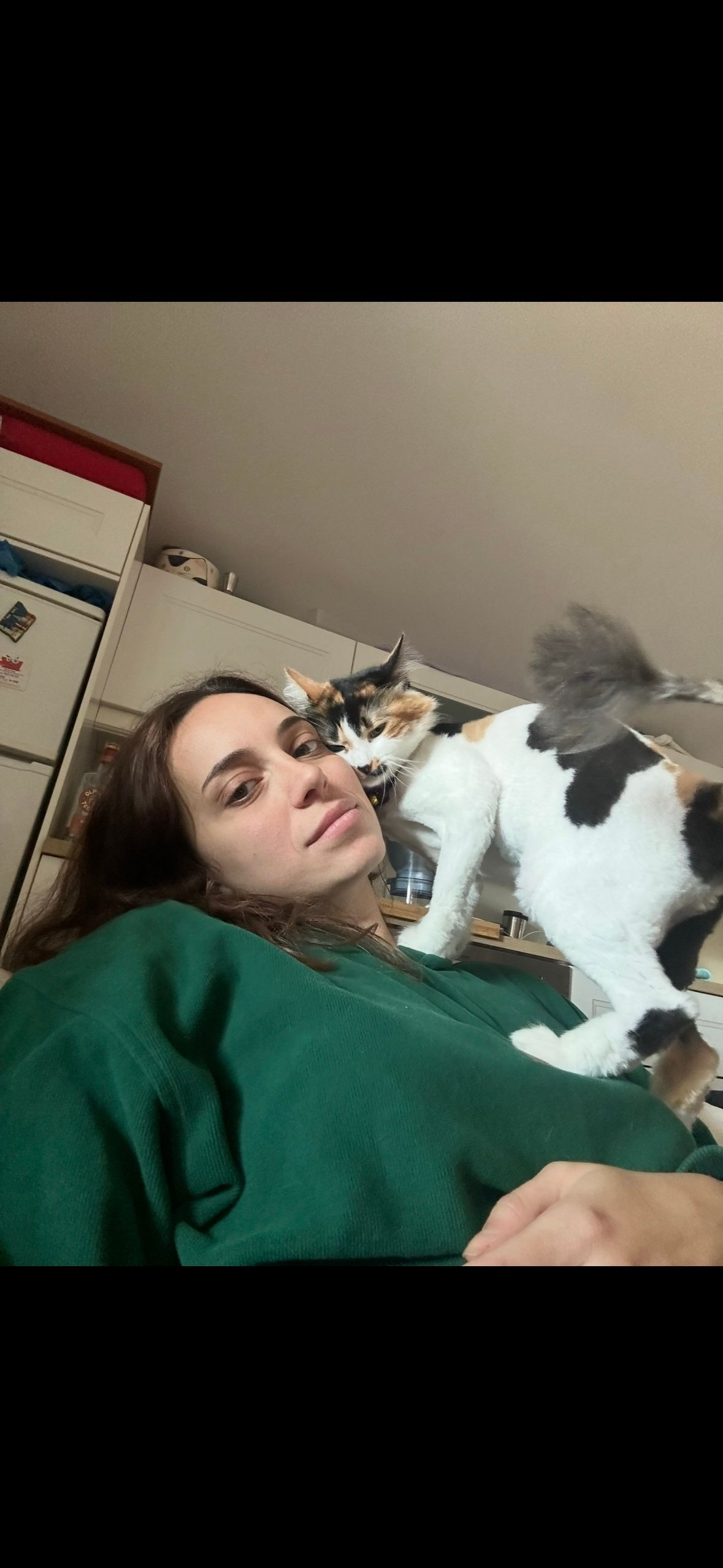 image-8