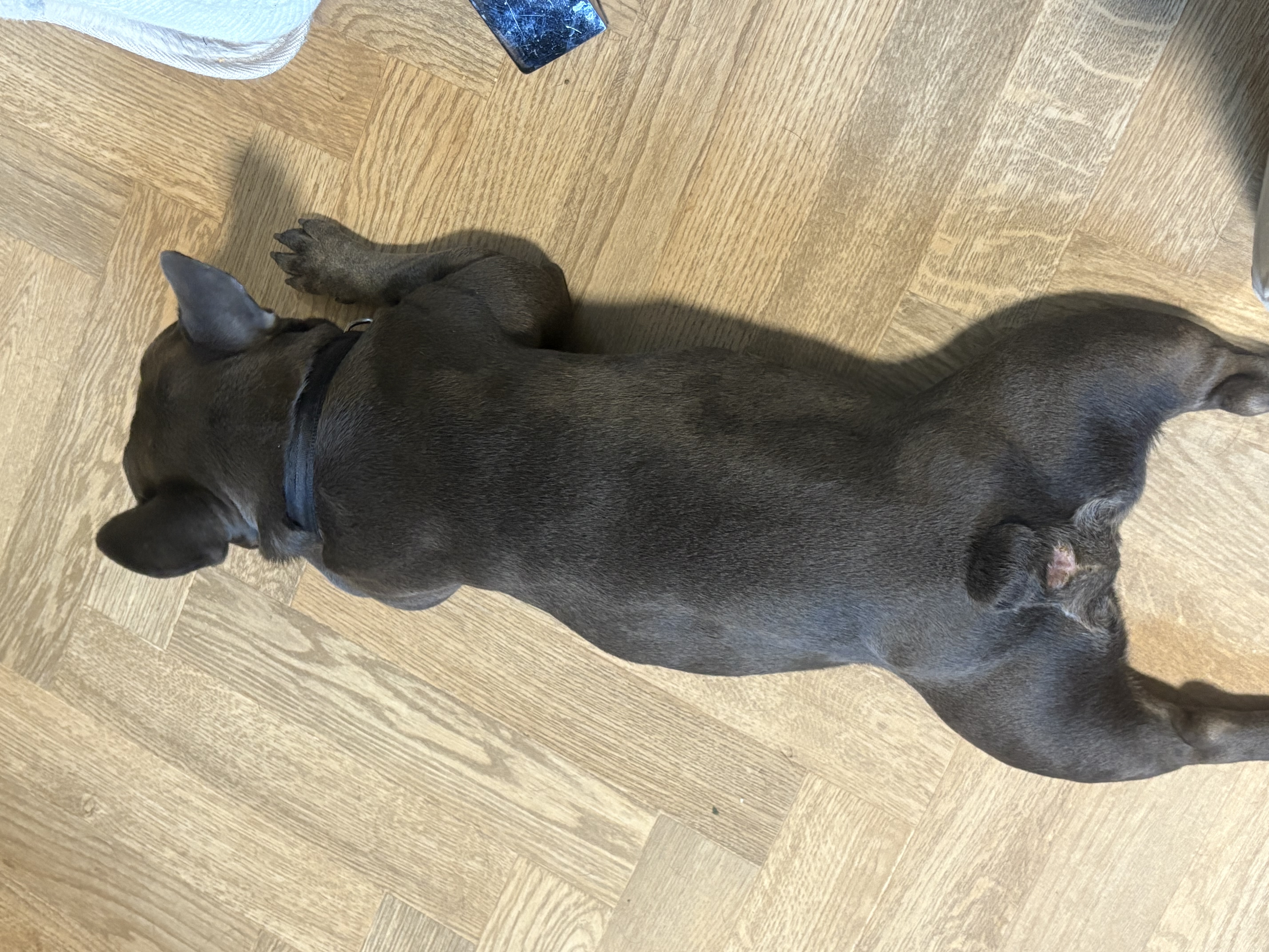 image-14