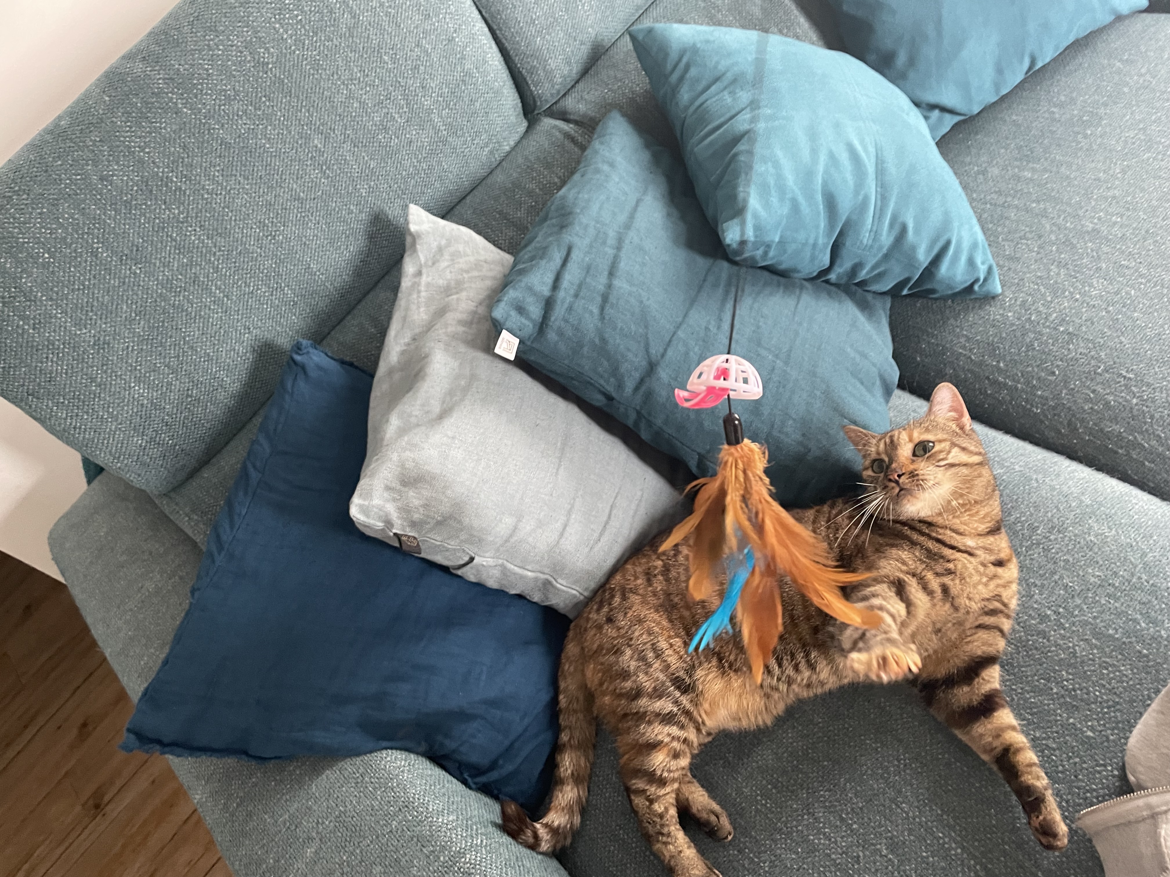 image-6
