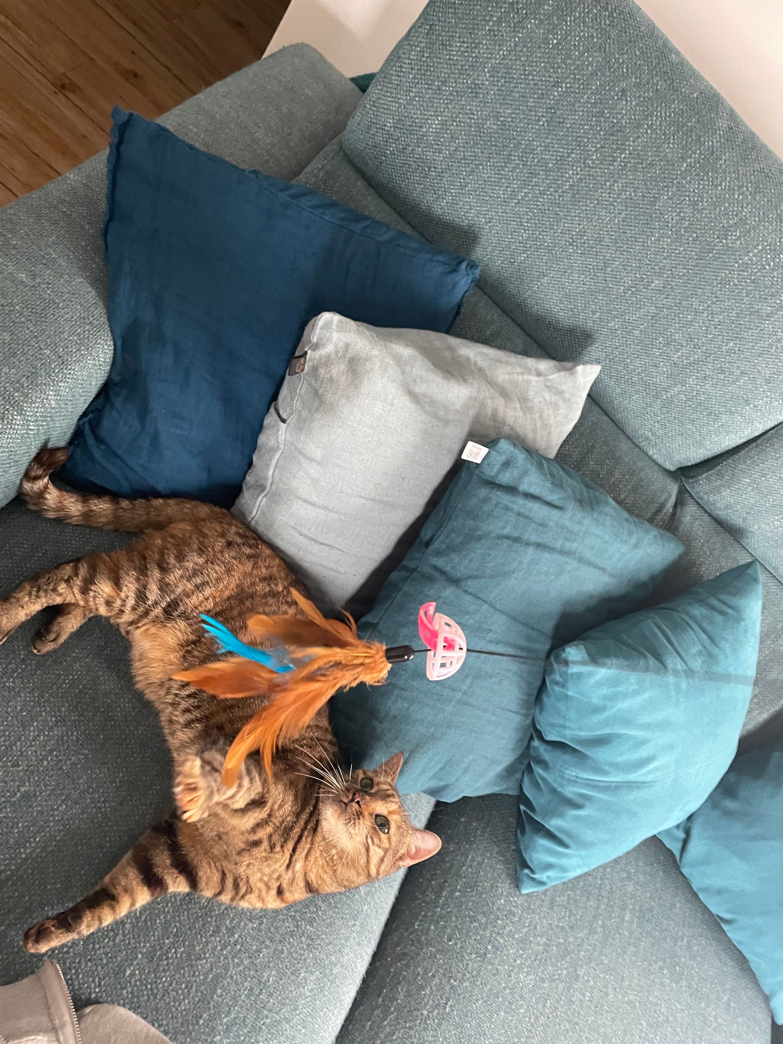 image-6