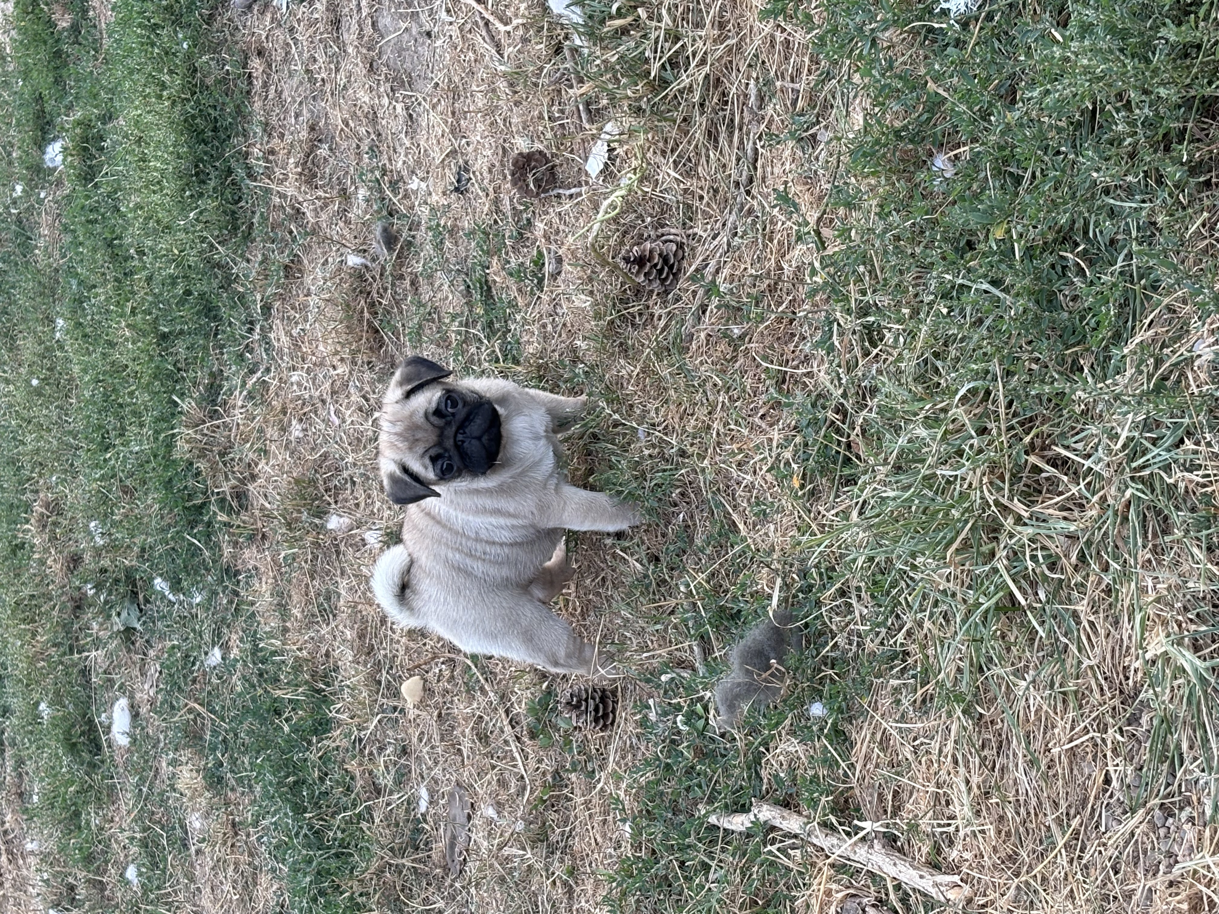 image-5