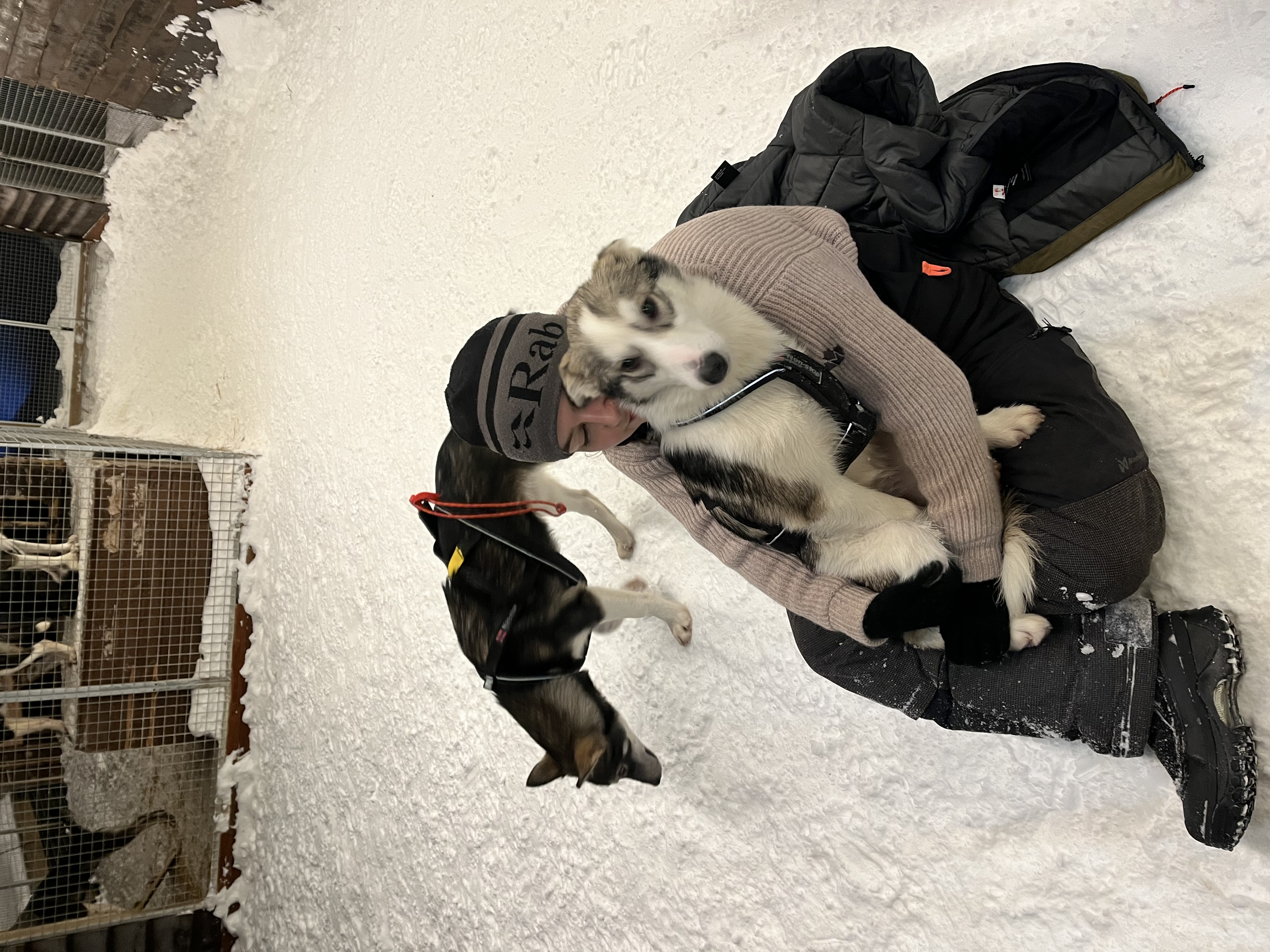 image-6
