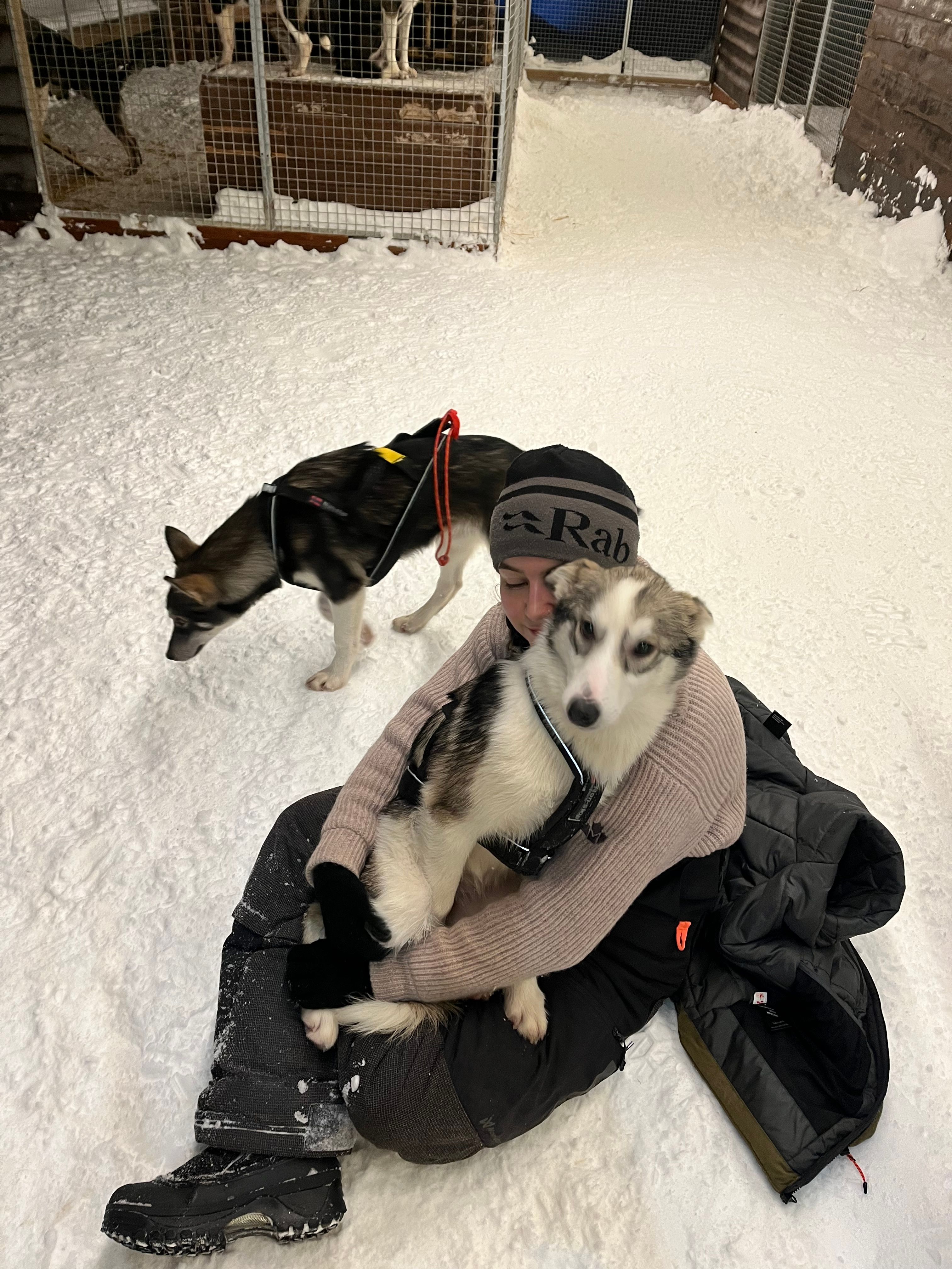 image-6