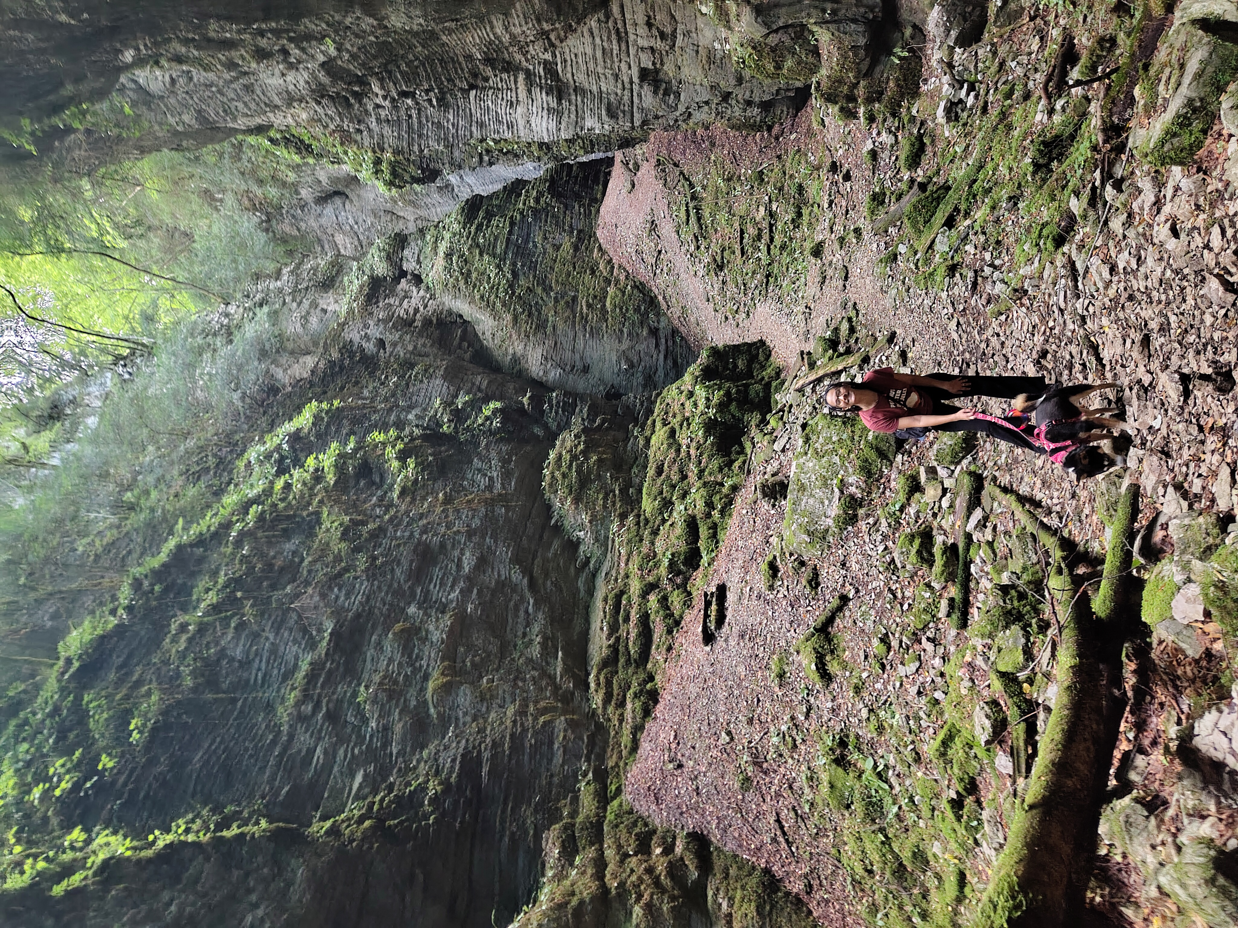 image-8