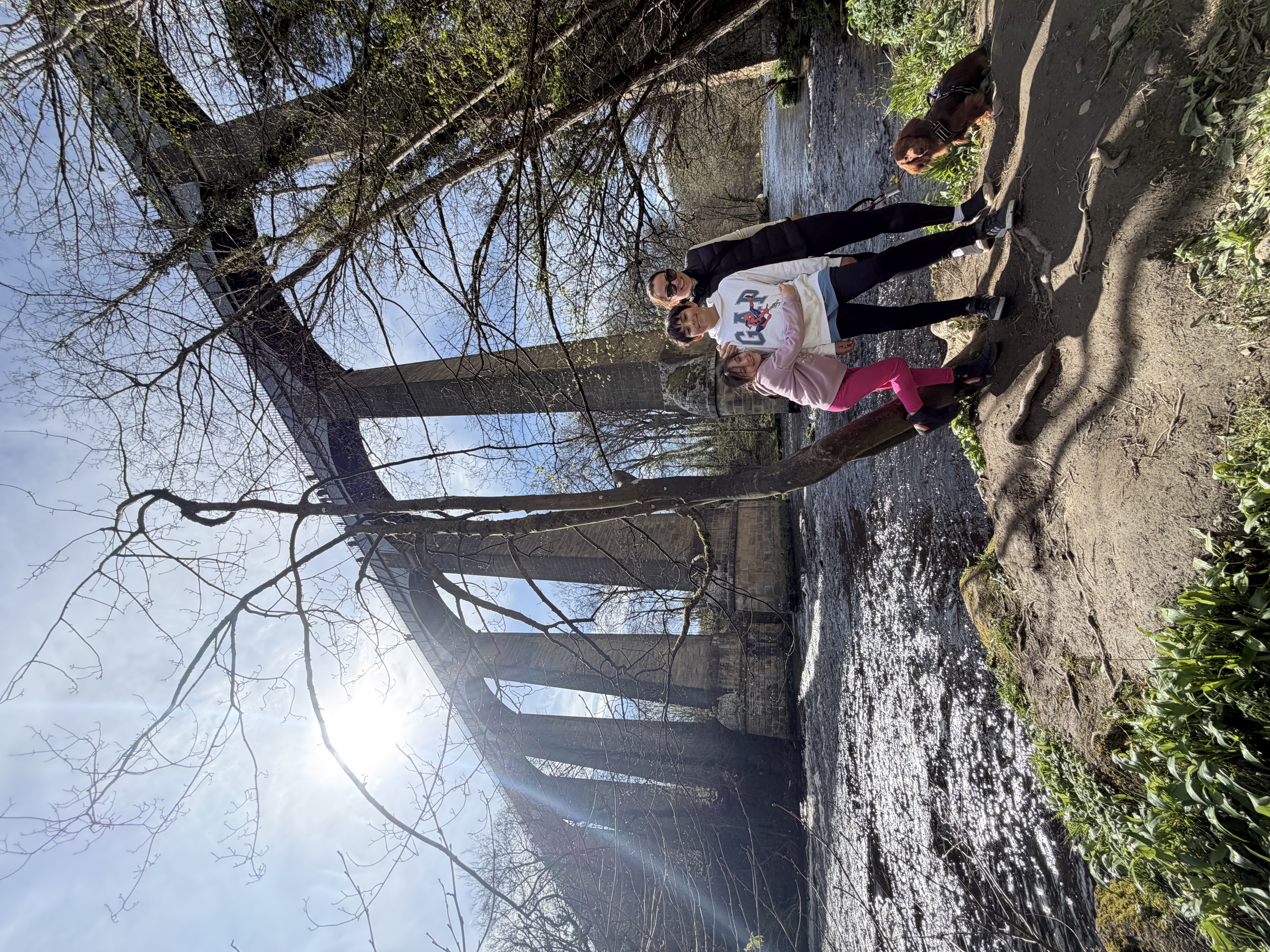 image-12