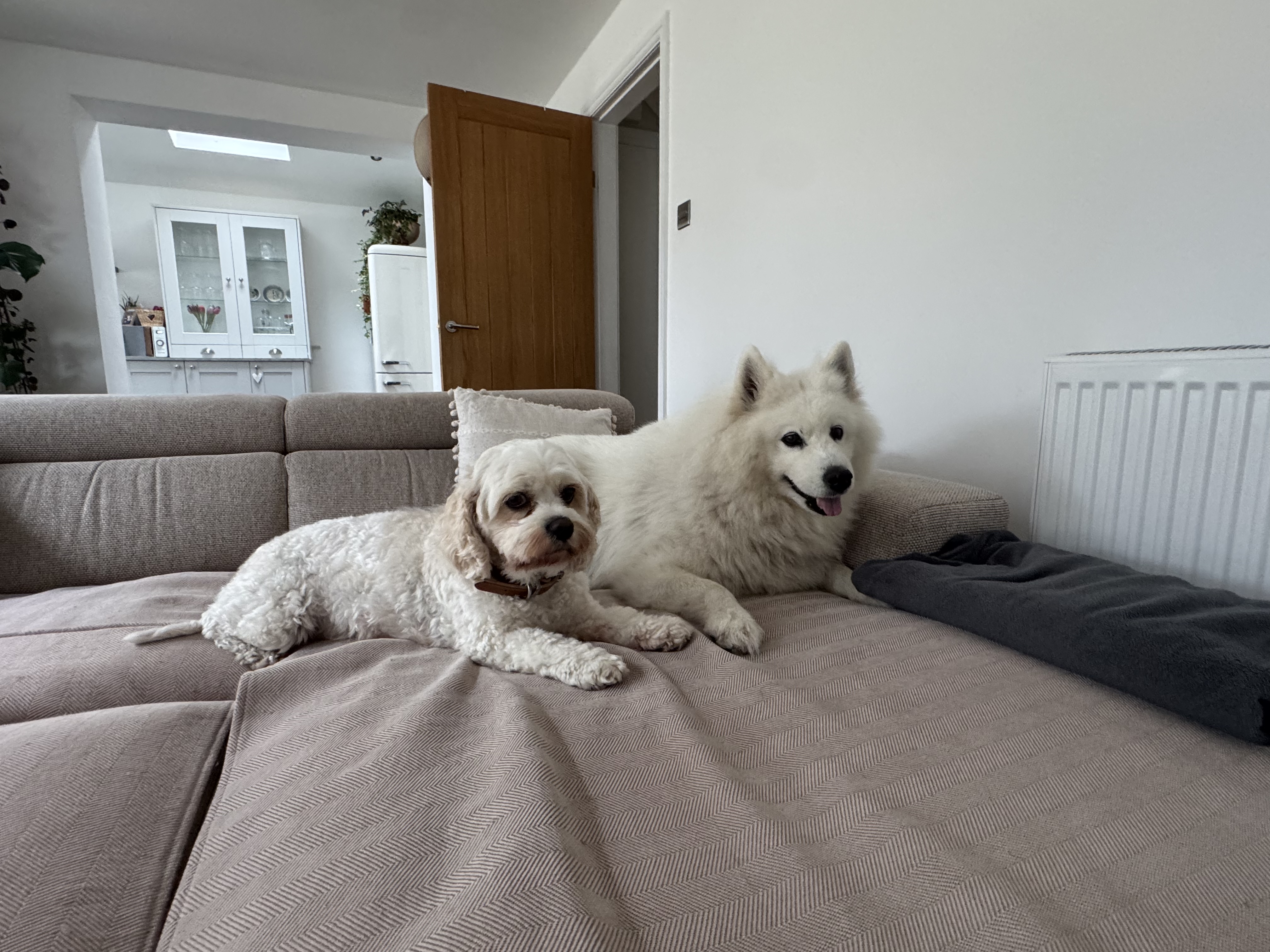 image-38