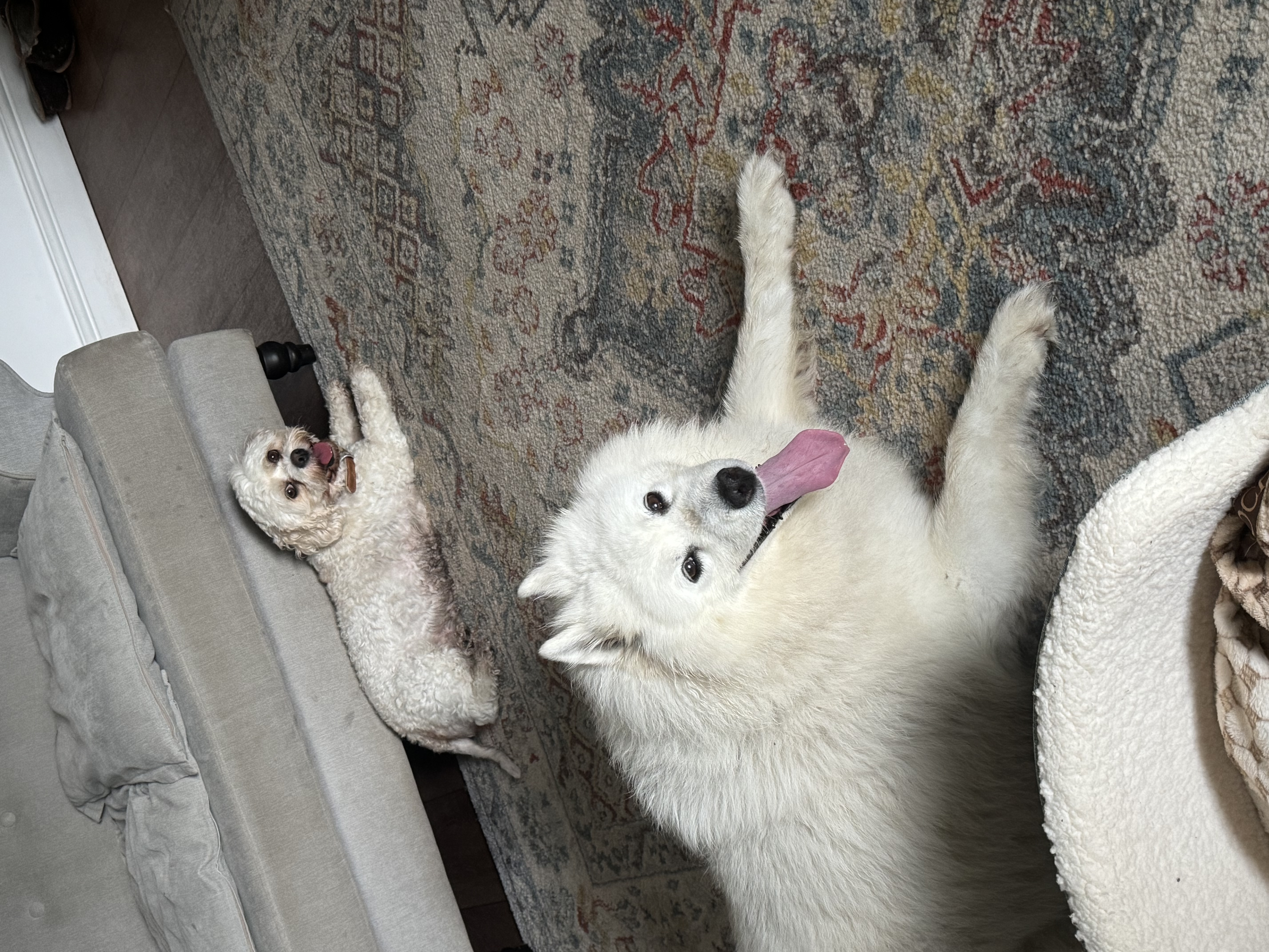image-39