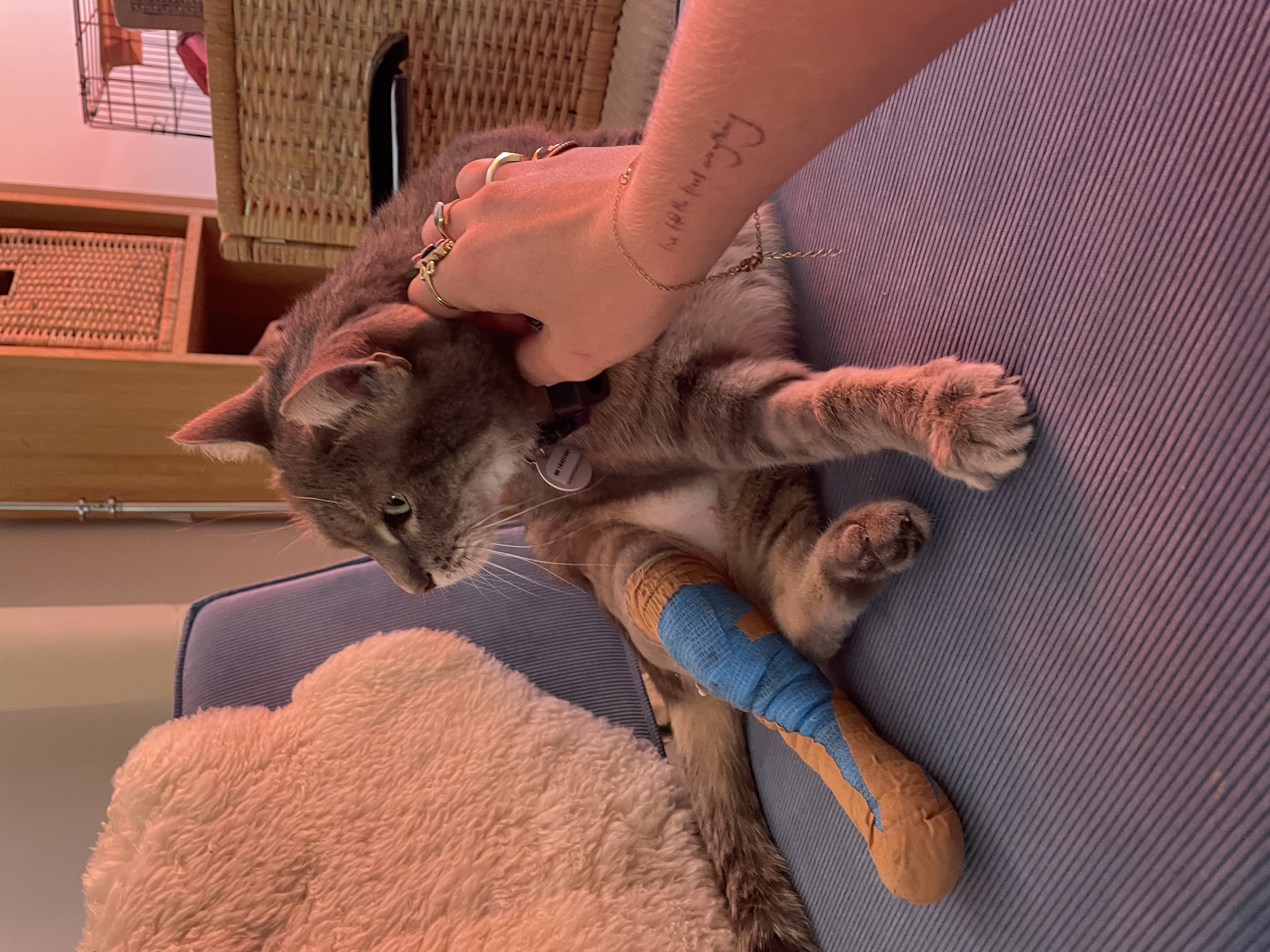 image-8
