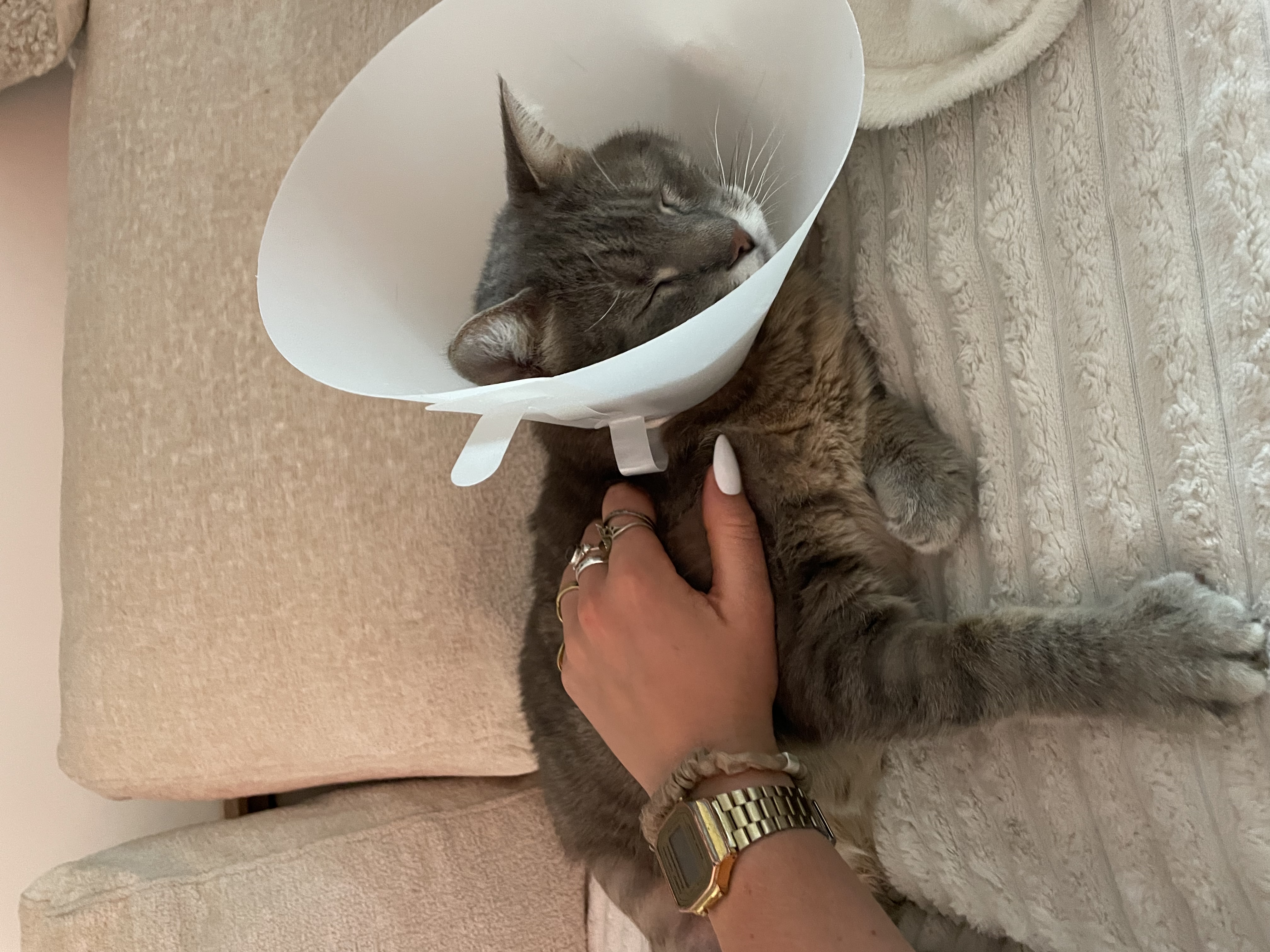 image-7