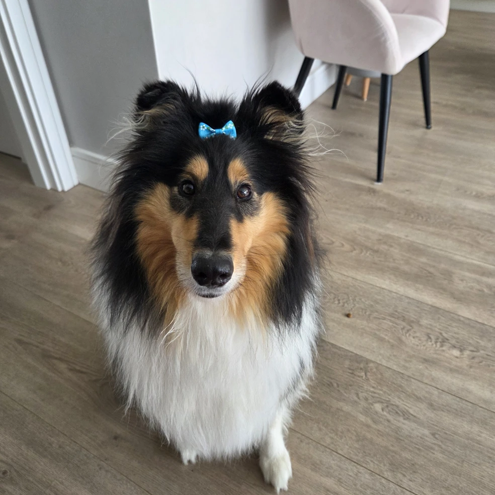 skye