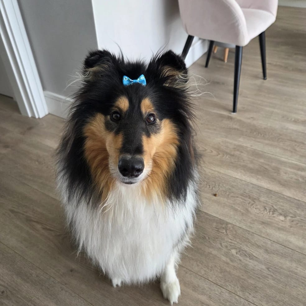 skye