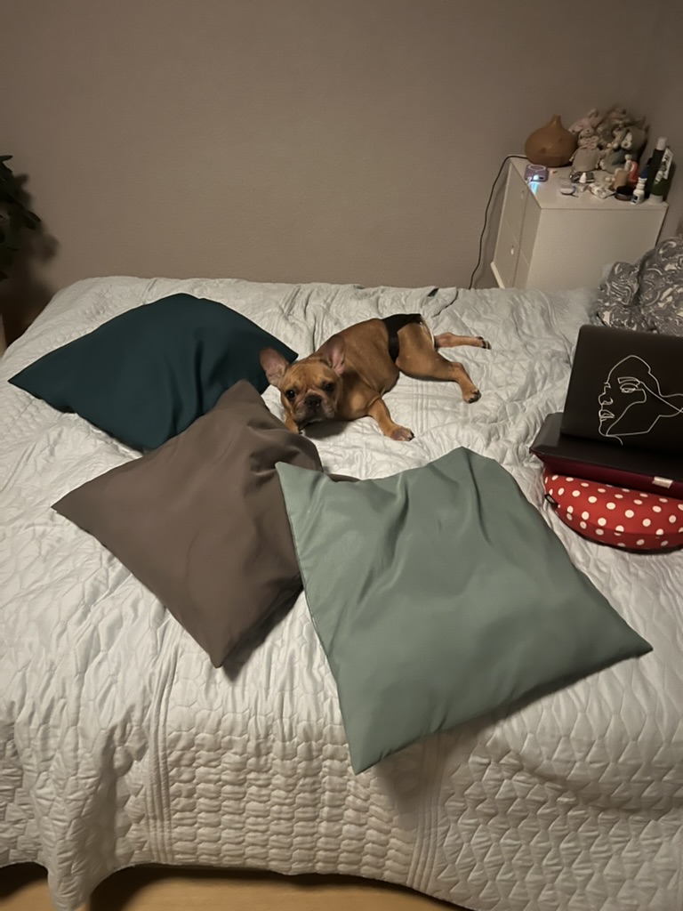 image-9