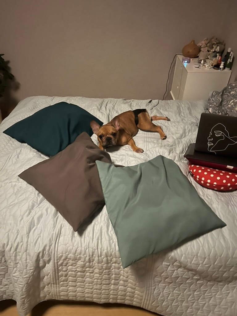 image-9