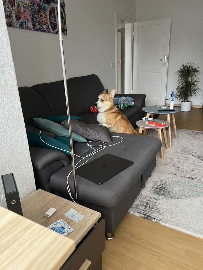 image-11