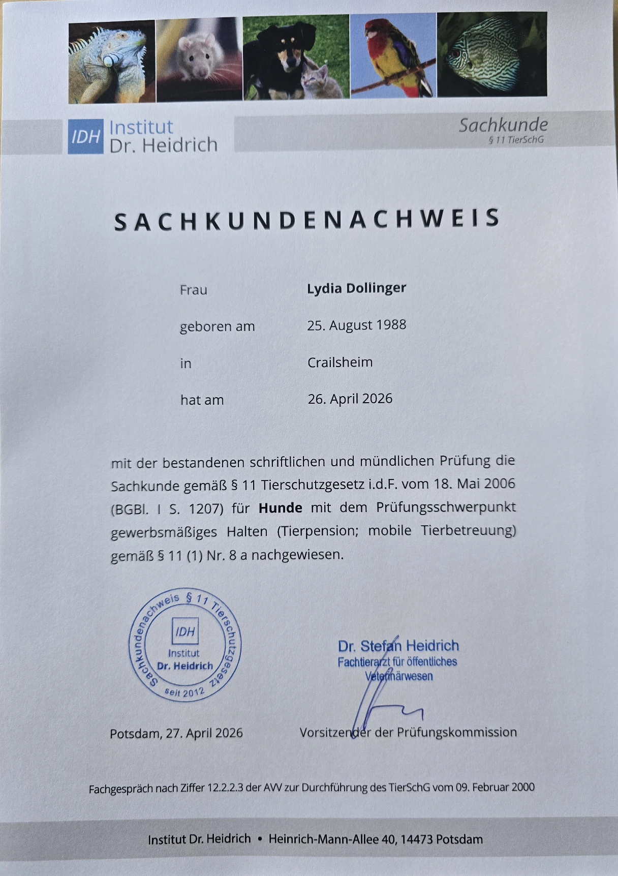 image-0