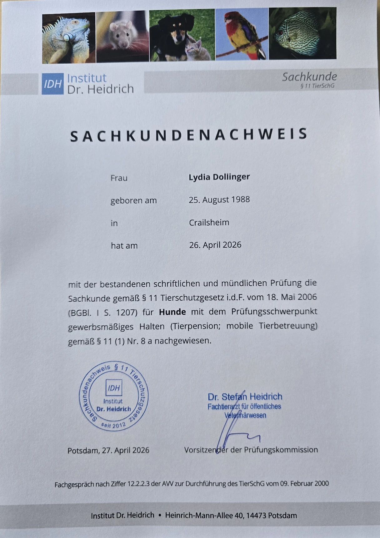 image-0