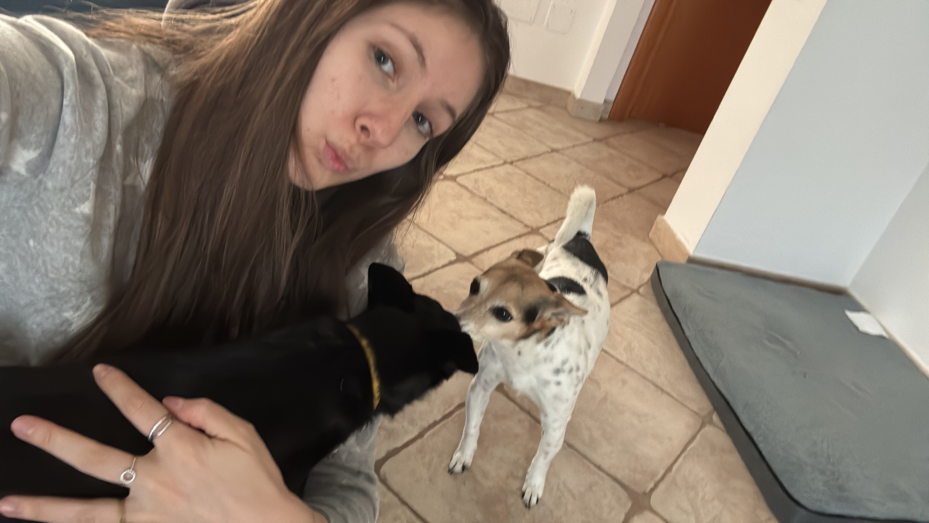 image-1