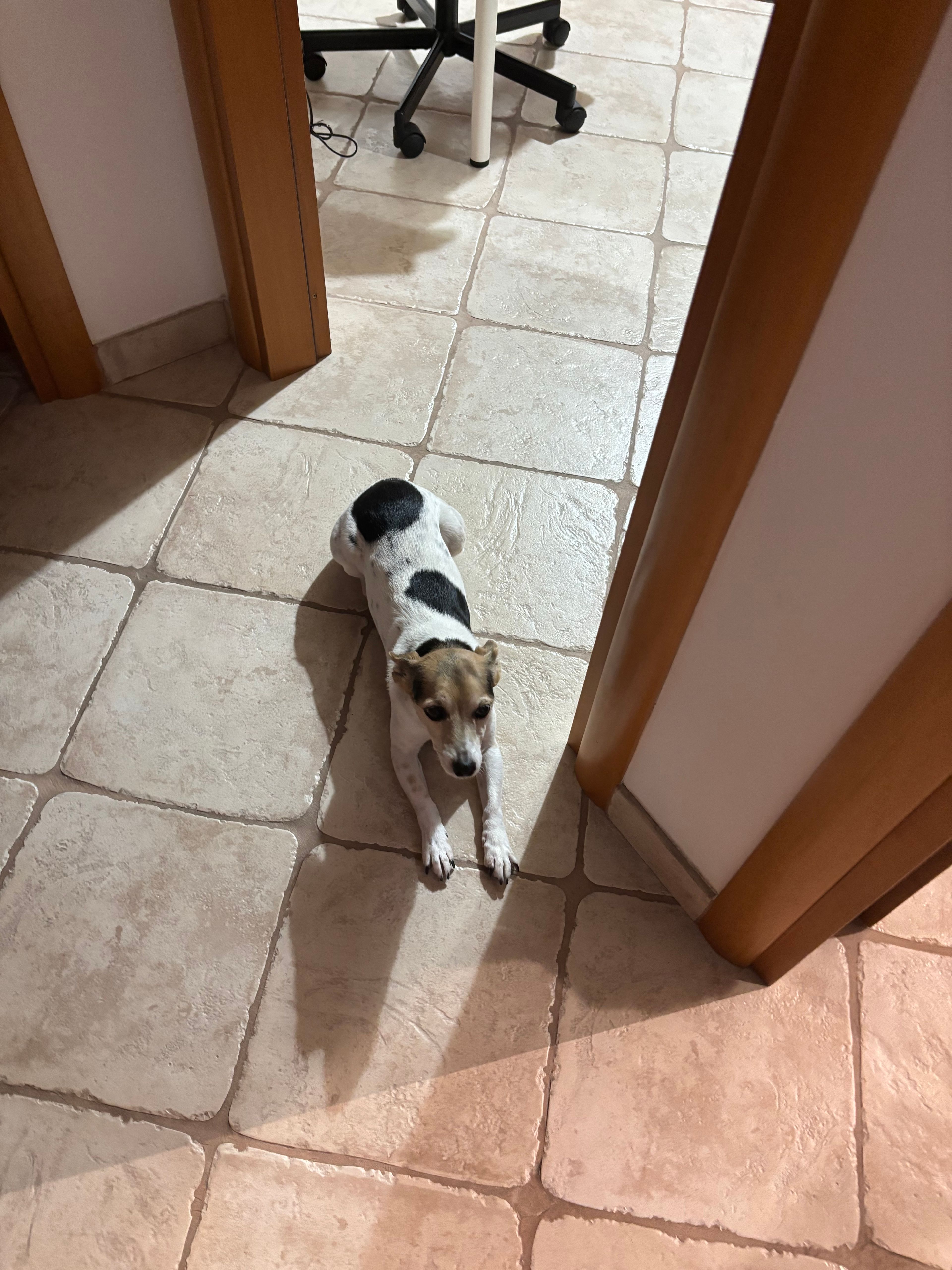 image-28