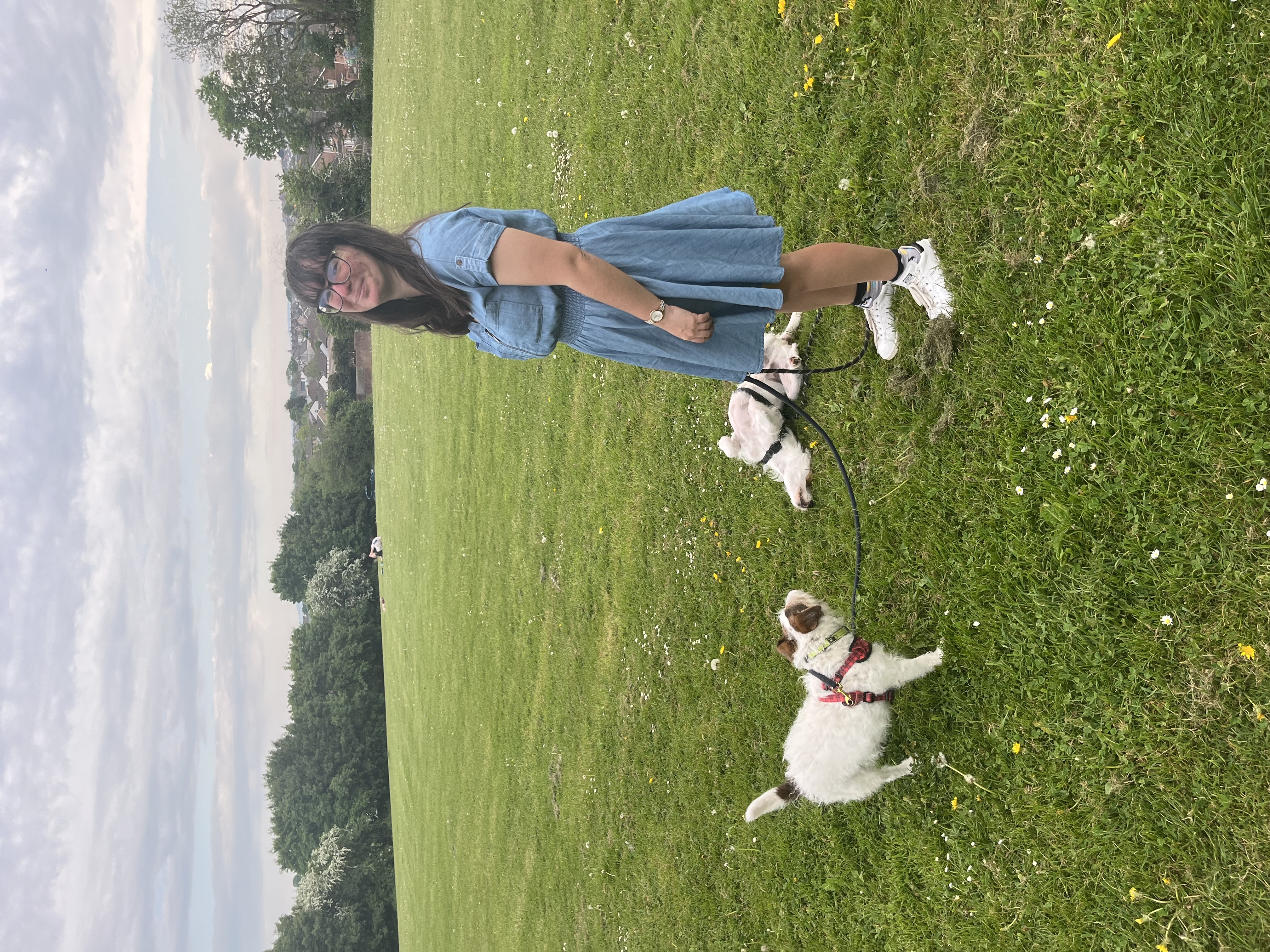 image-7