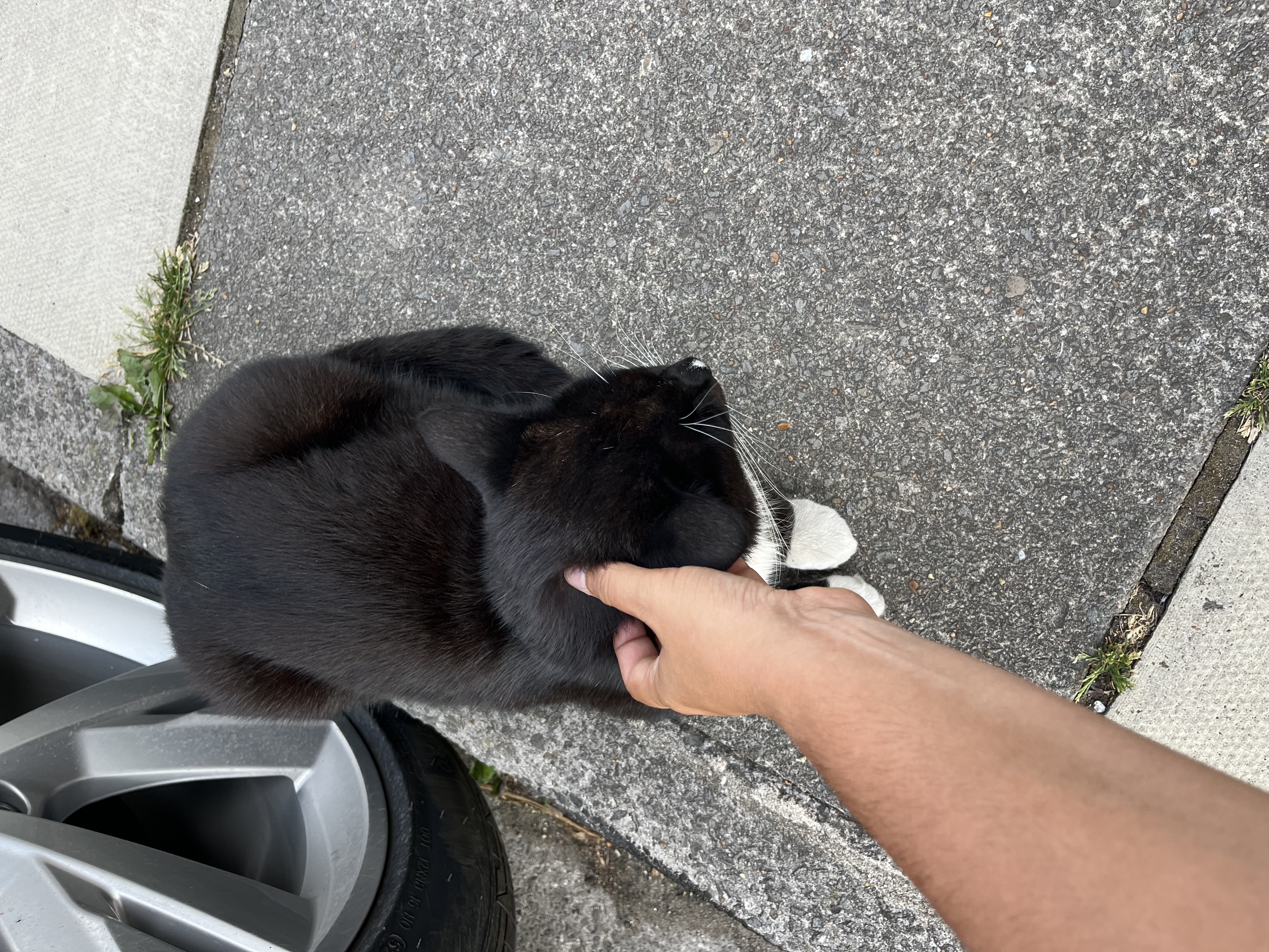 image-9