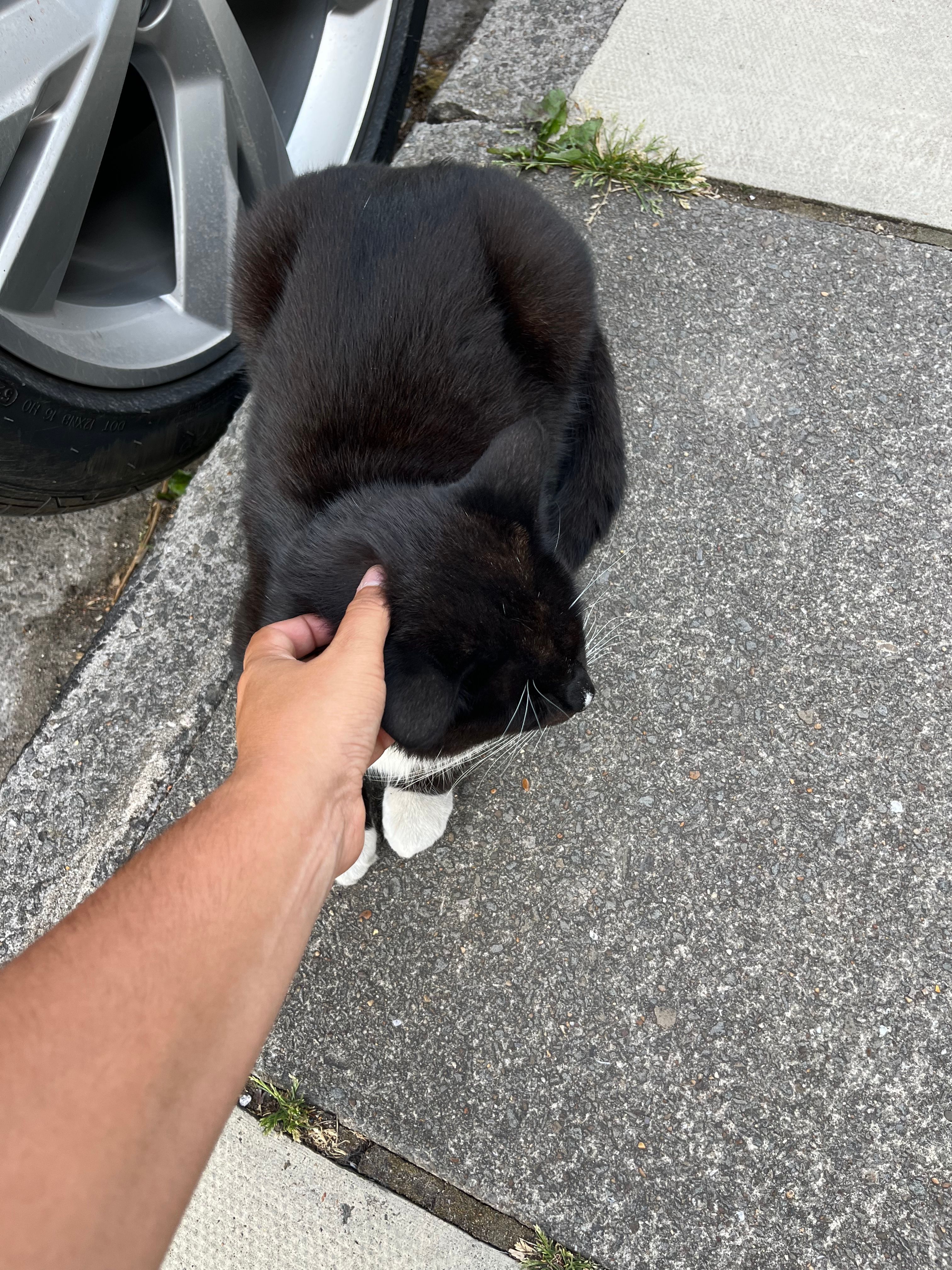 image-9