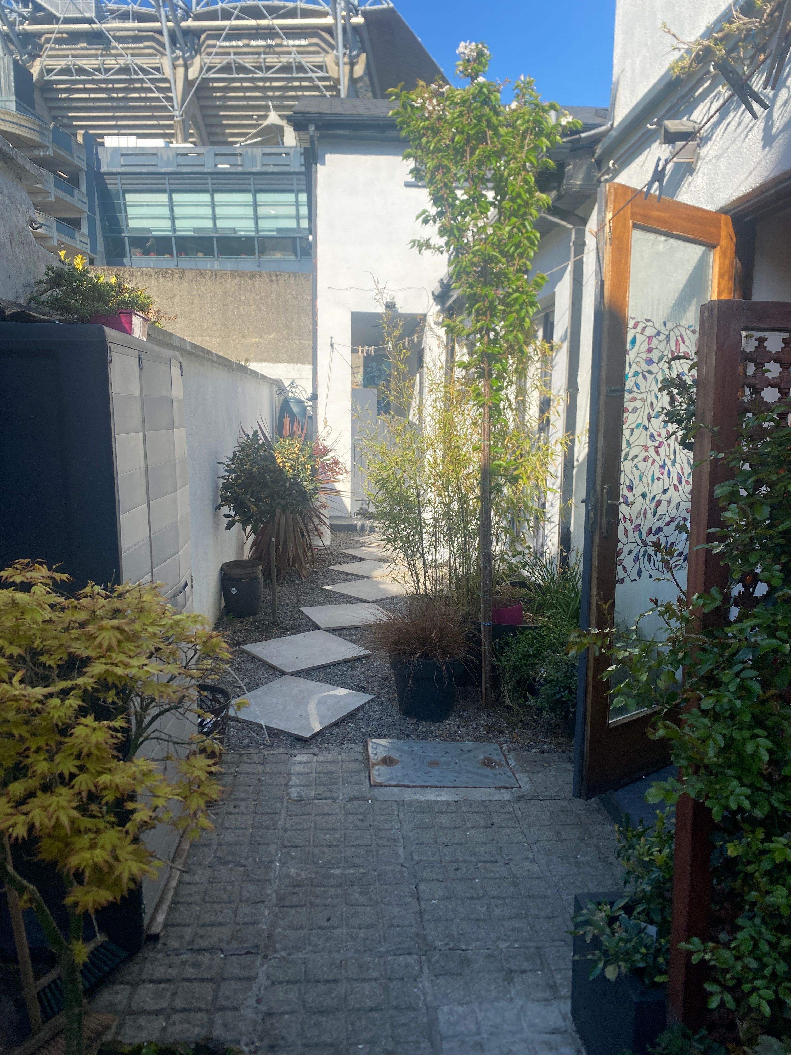 image-9