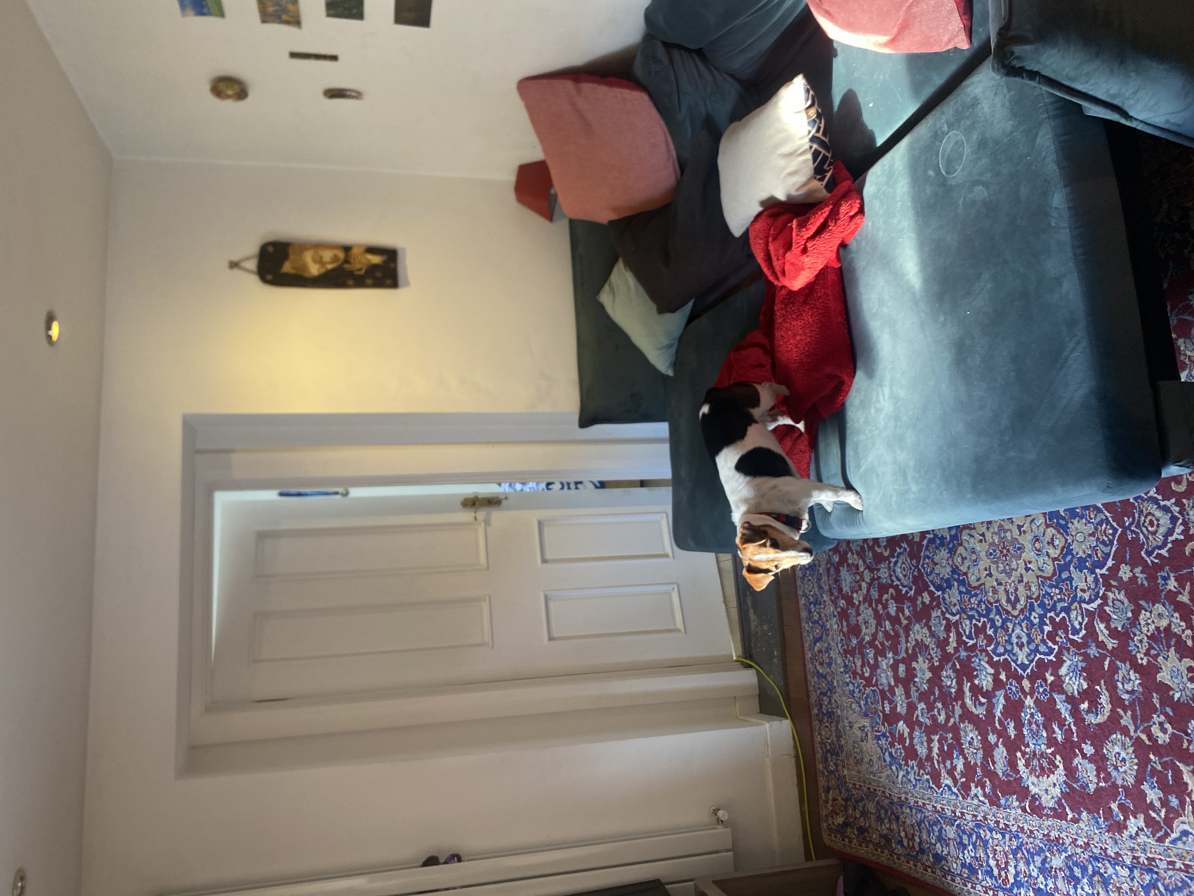 image-10