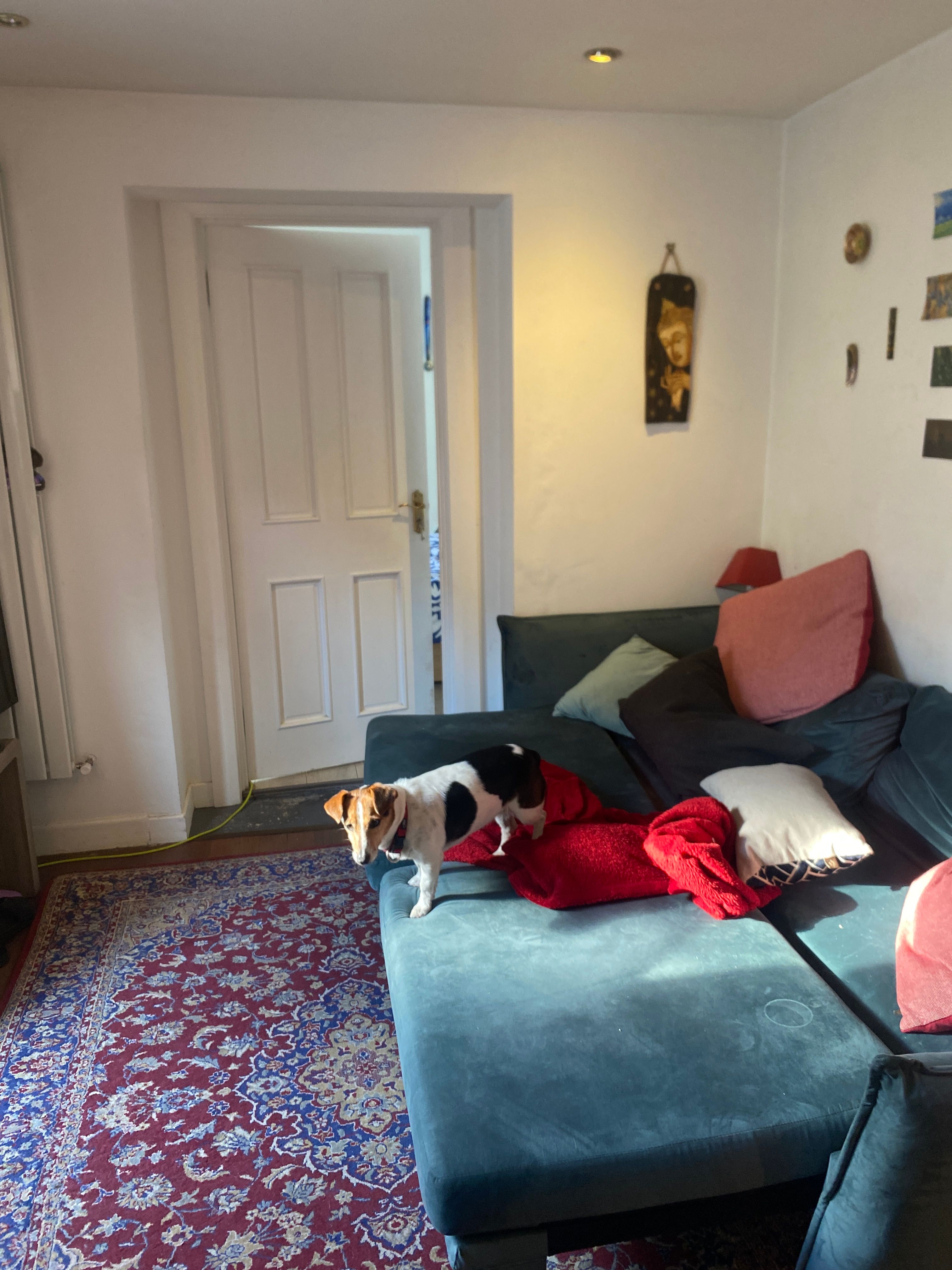 image-10