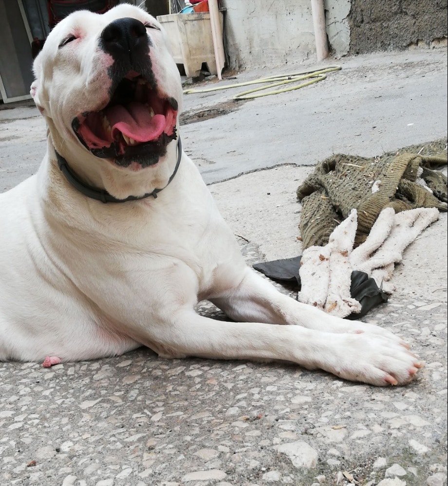 image-3