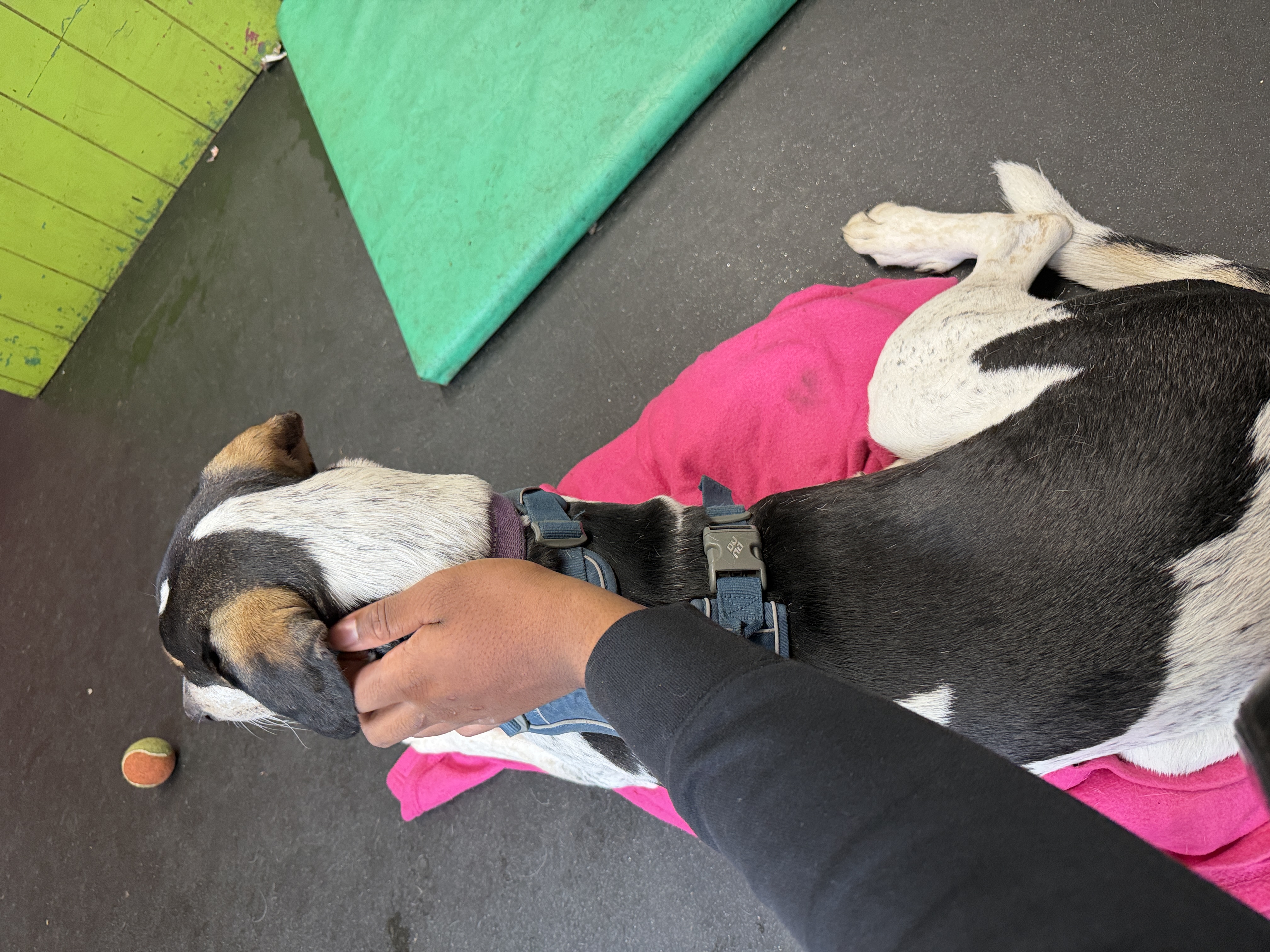 image-8