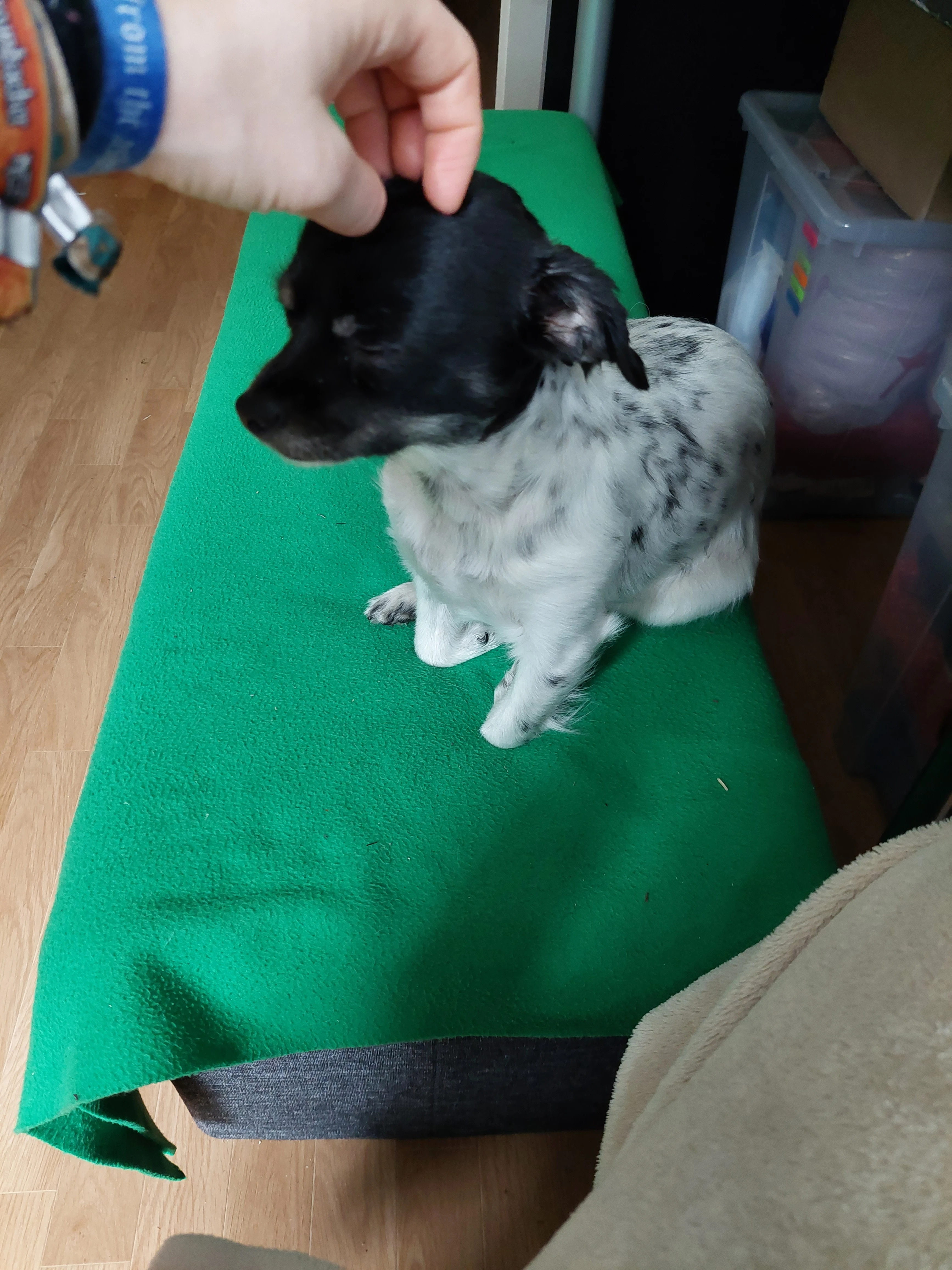 image-3