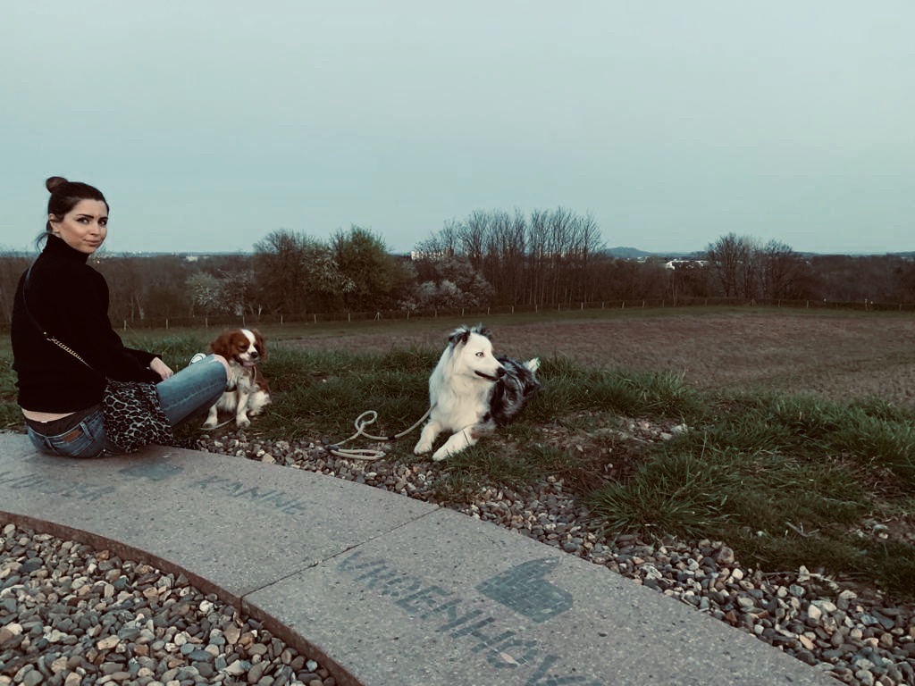 image-9