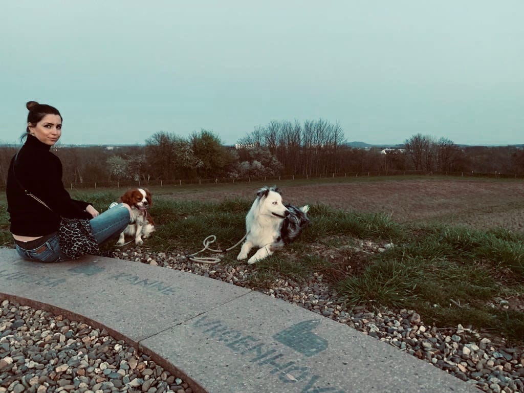 image-9