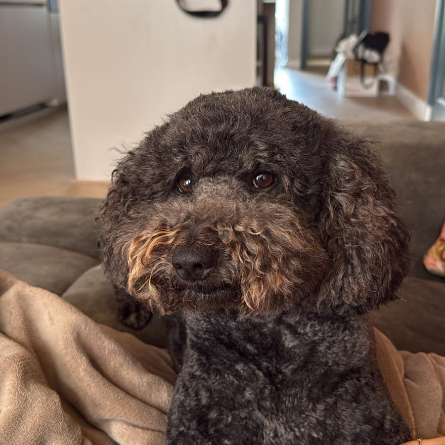 Molly