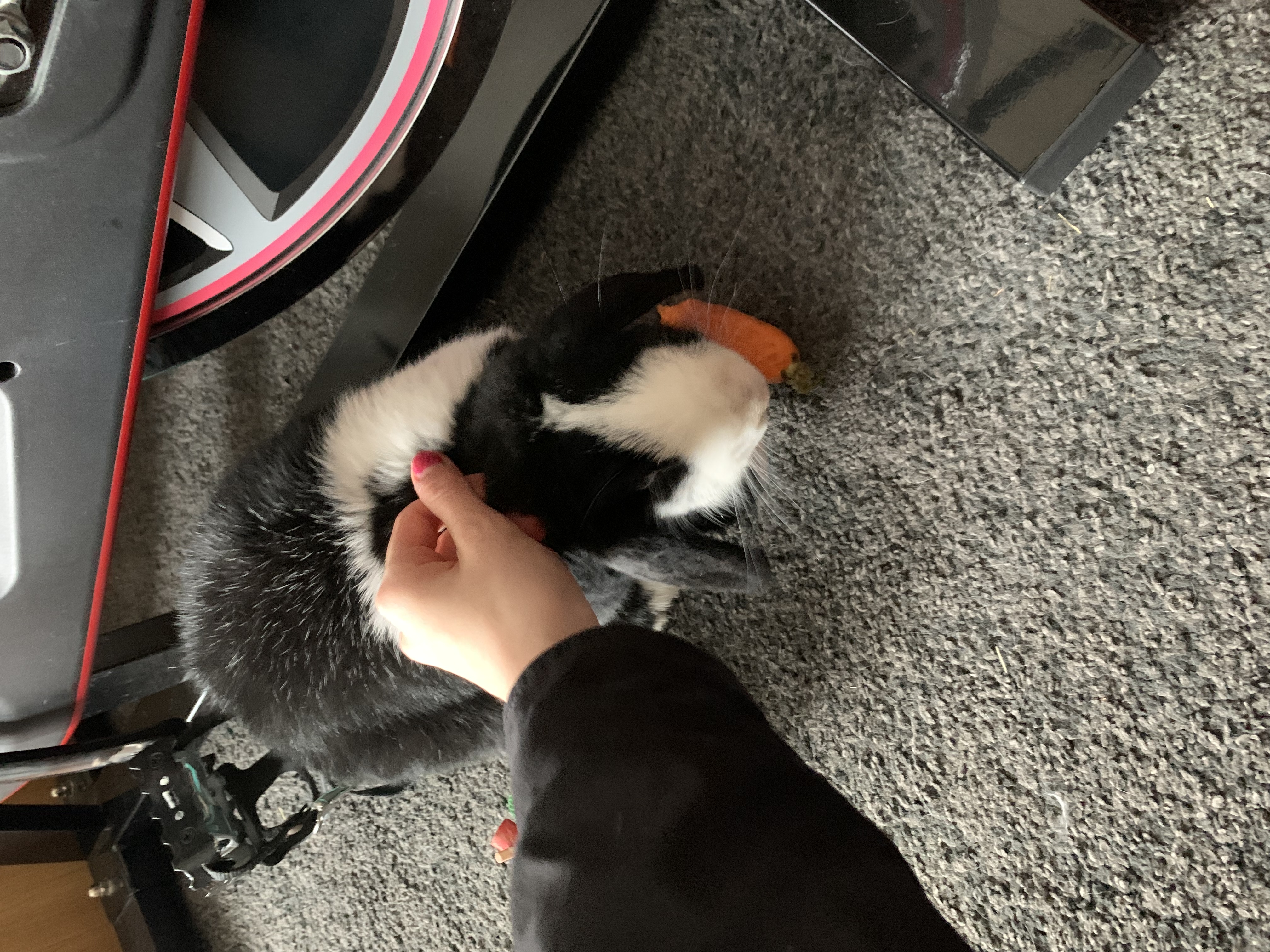 image-6