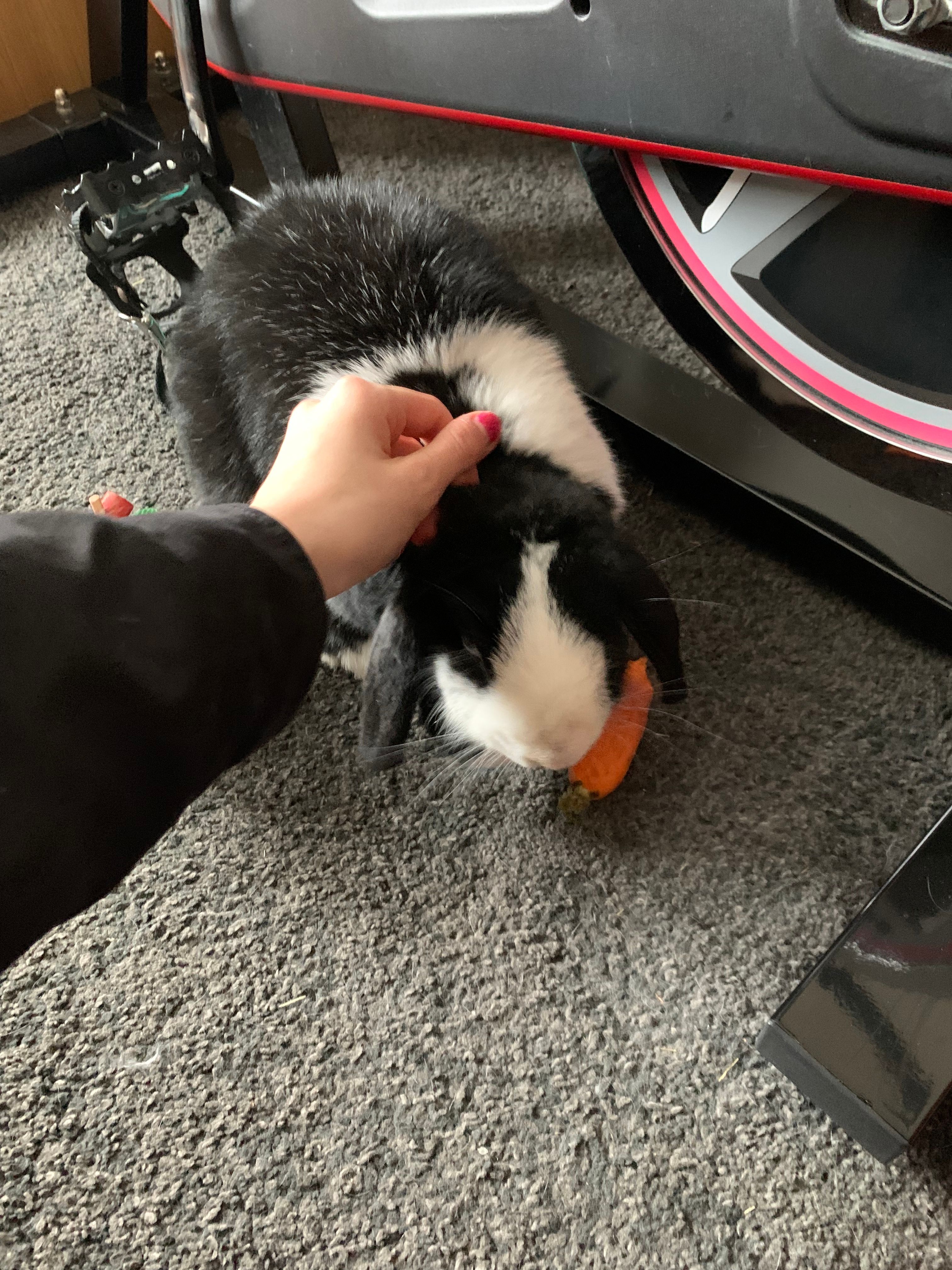 image-6