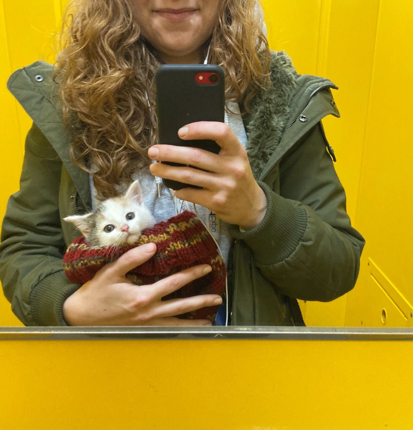 image-9