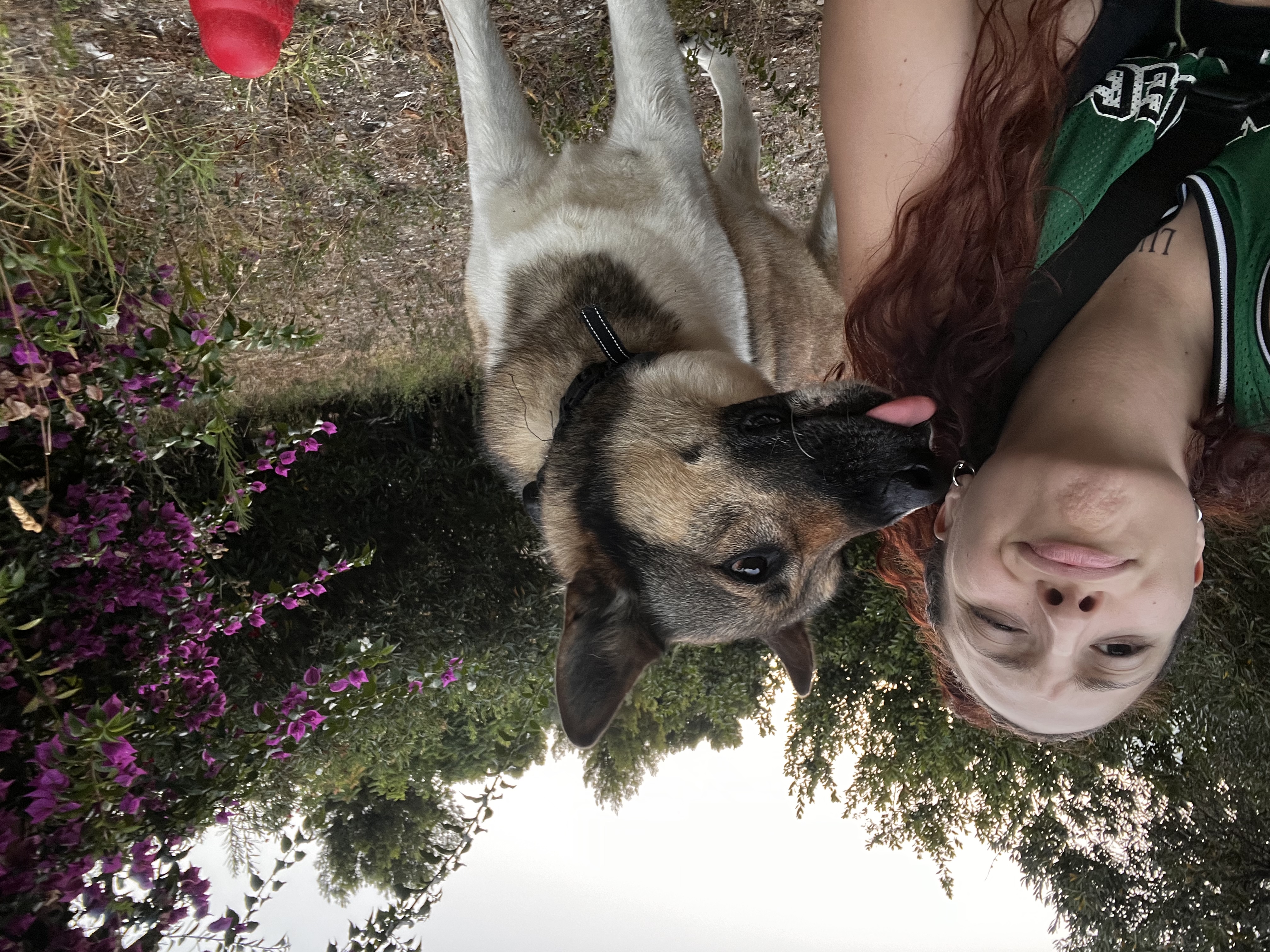 image-10