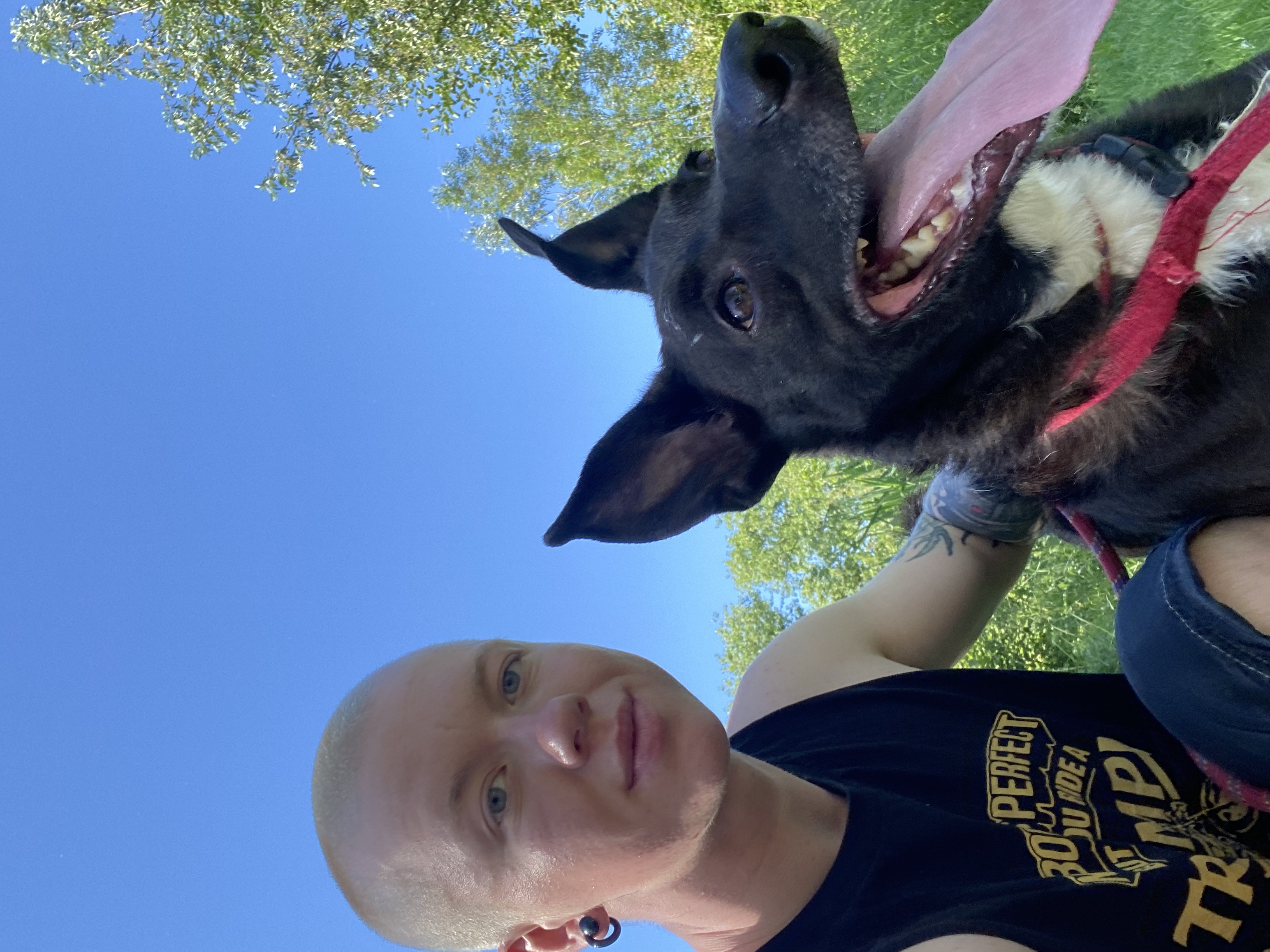 image-10