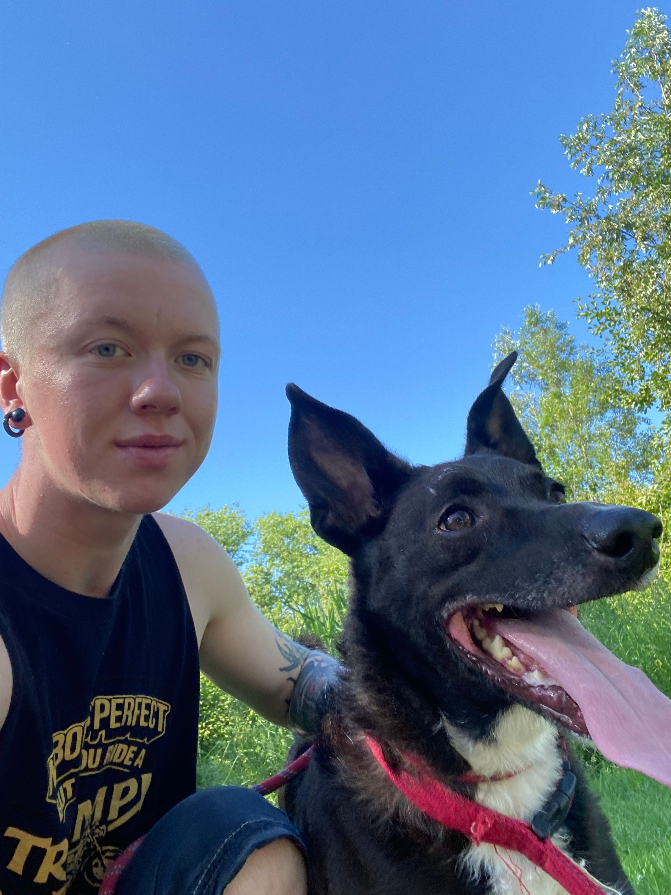 image-10