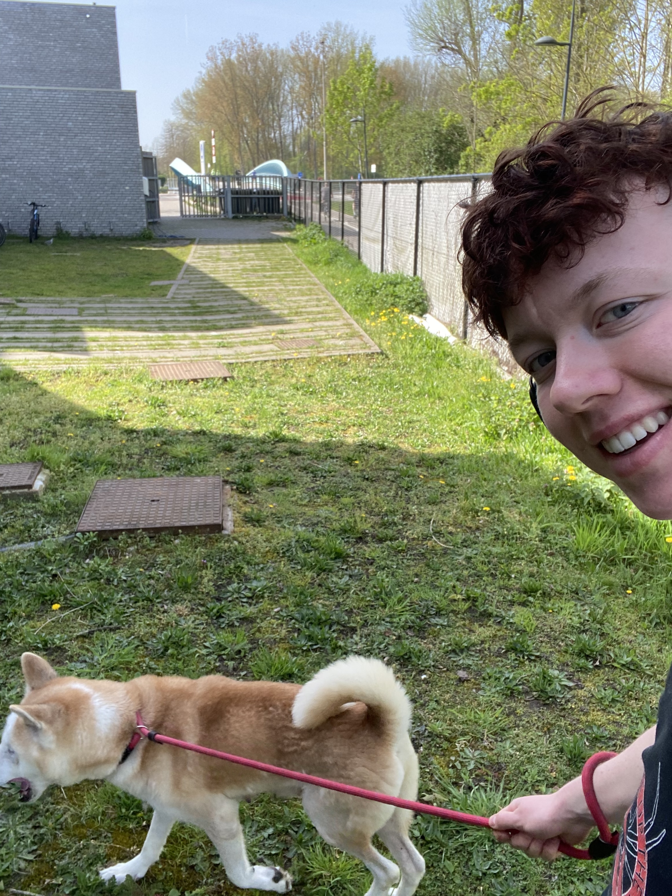 image-7