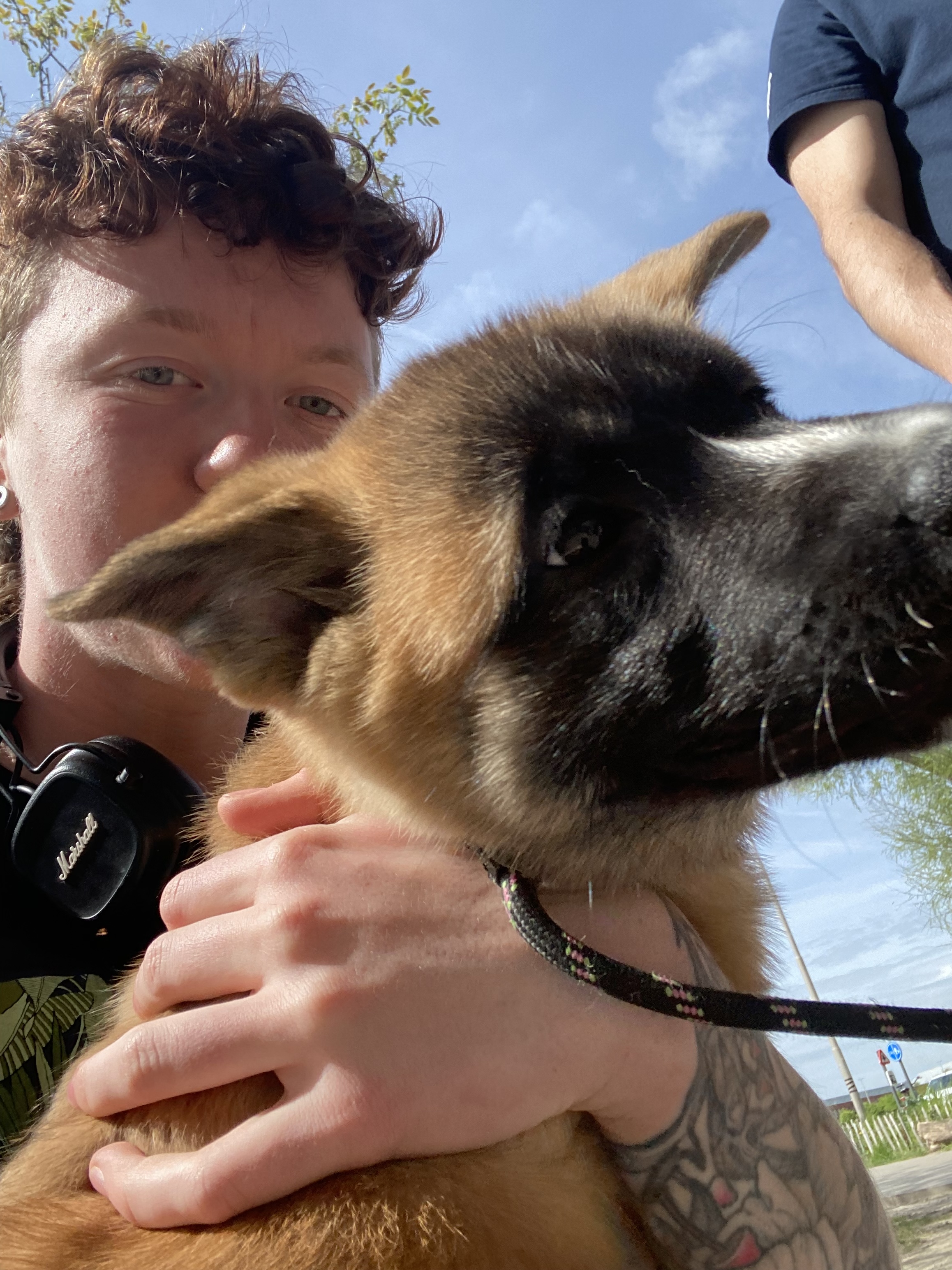 image-6
