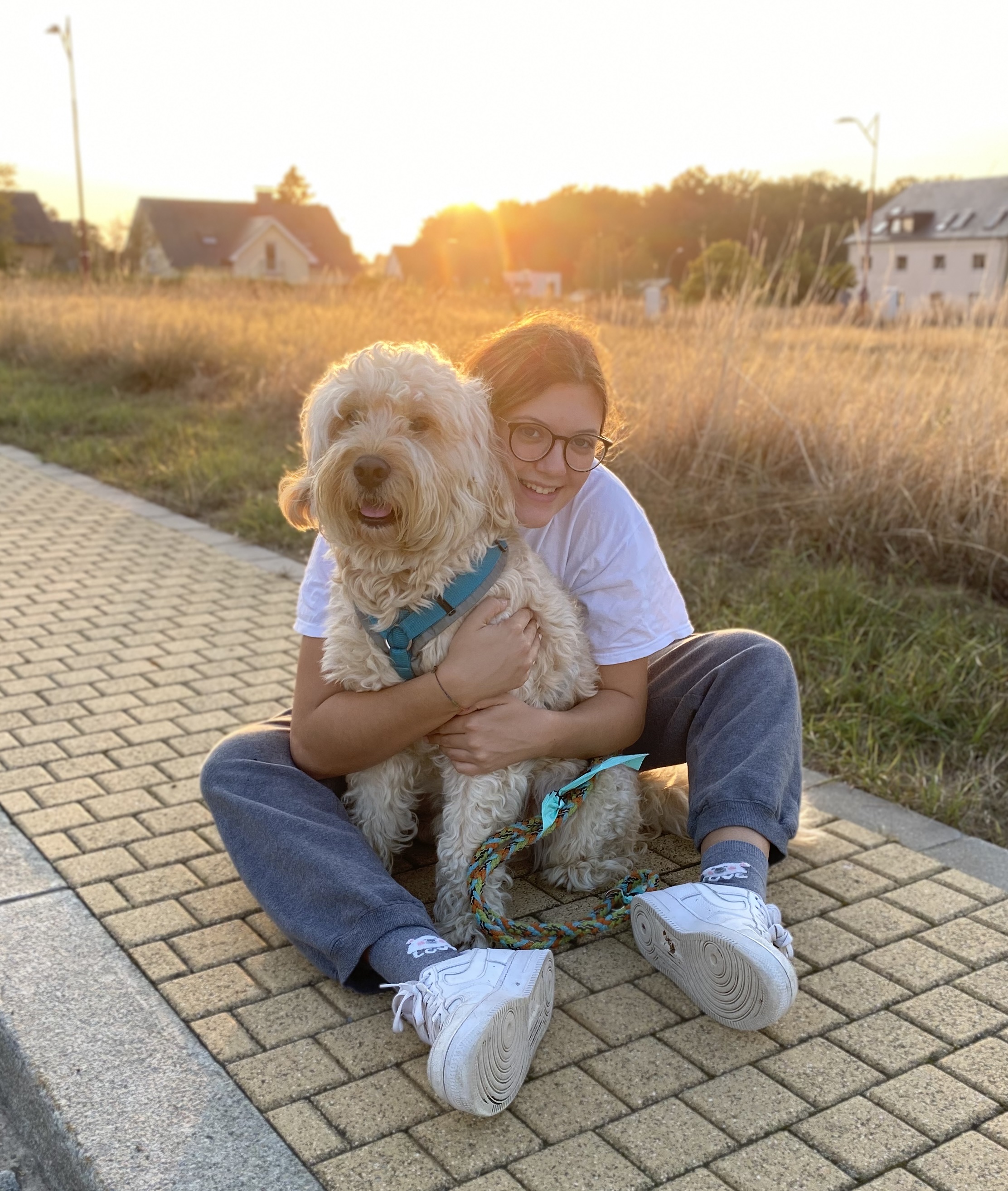 image-3
