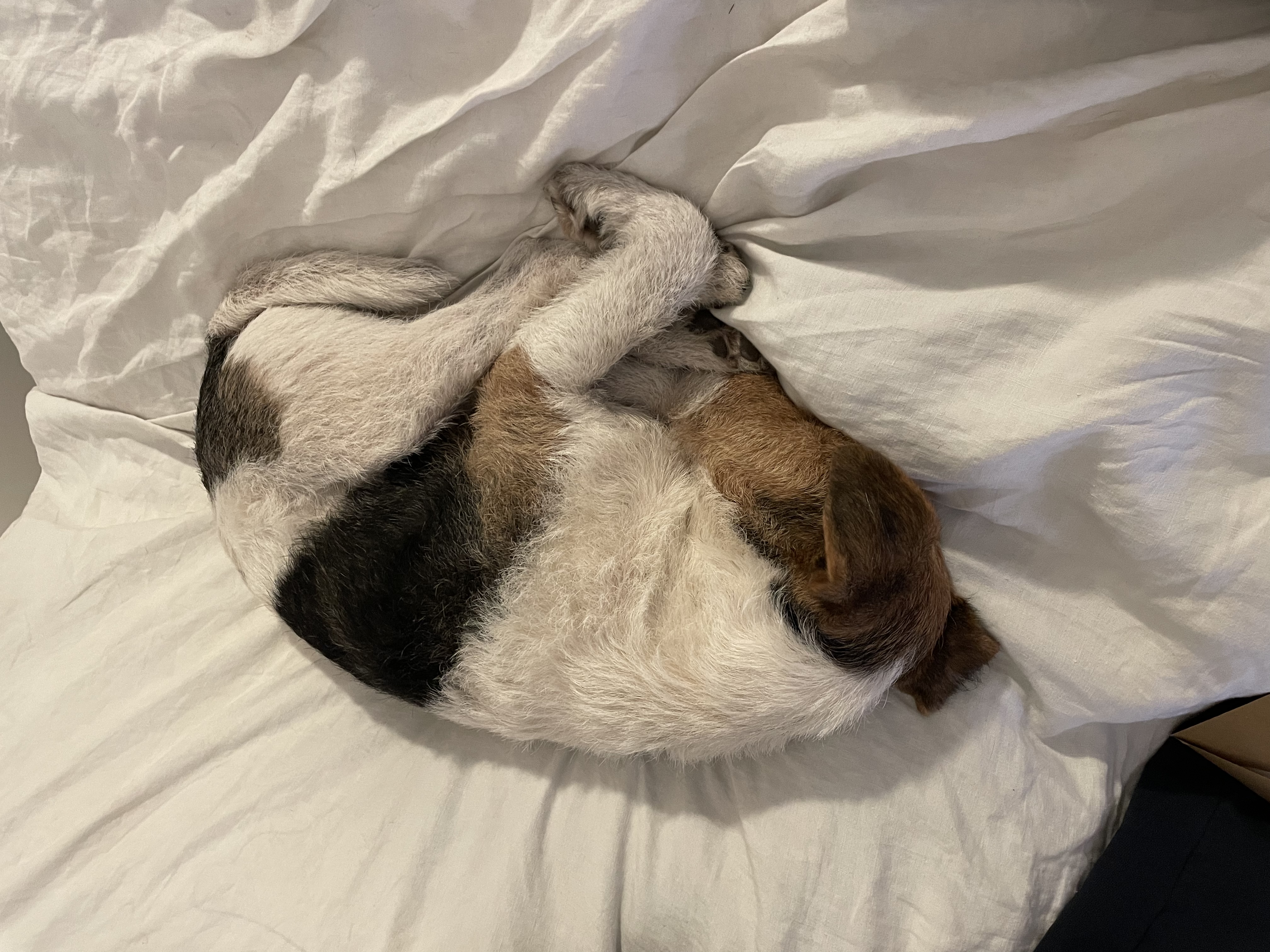 image-9