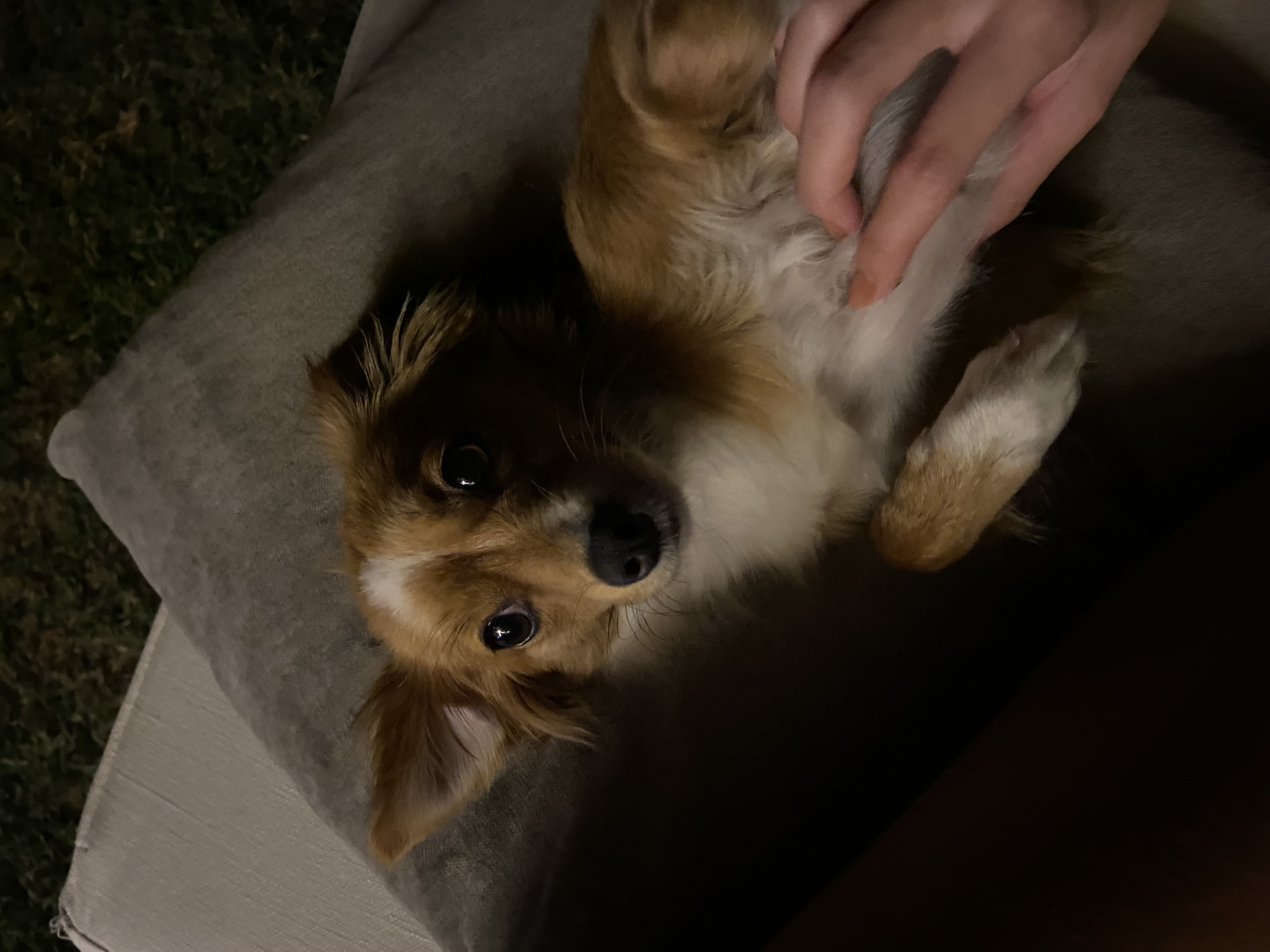 image-5