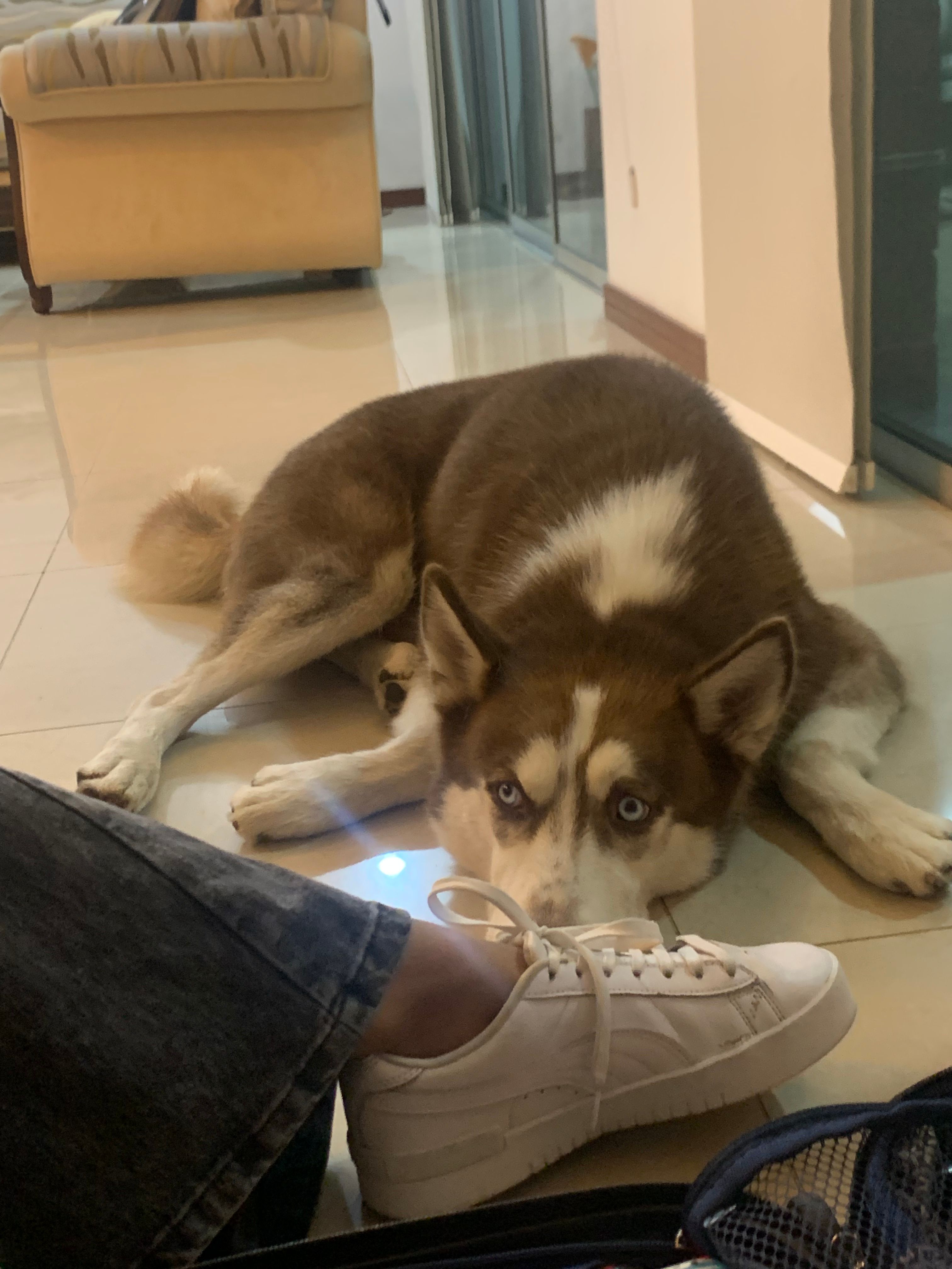image-8